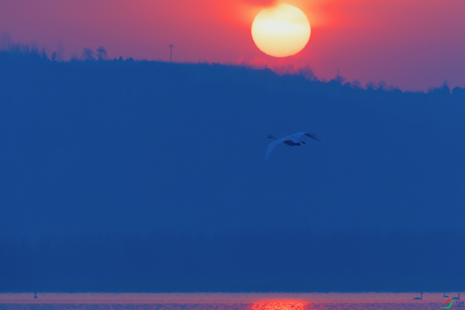 4DSC_5987_DxOa.jpg