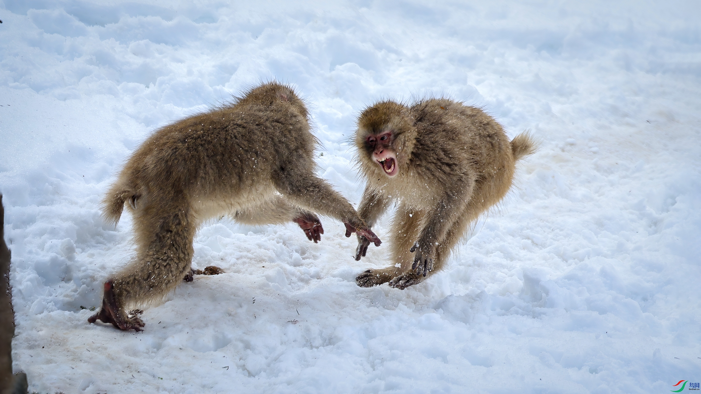 ��ˣ0C4A5110.jpg