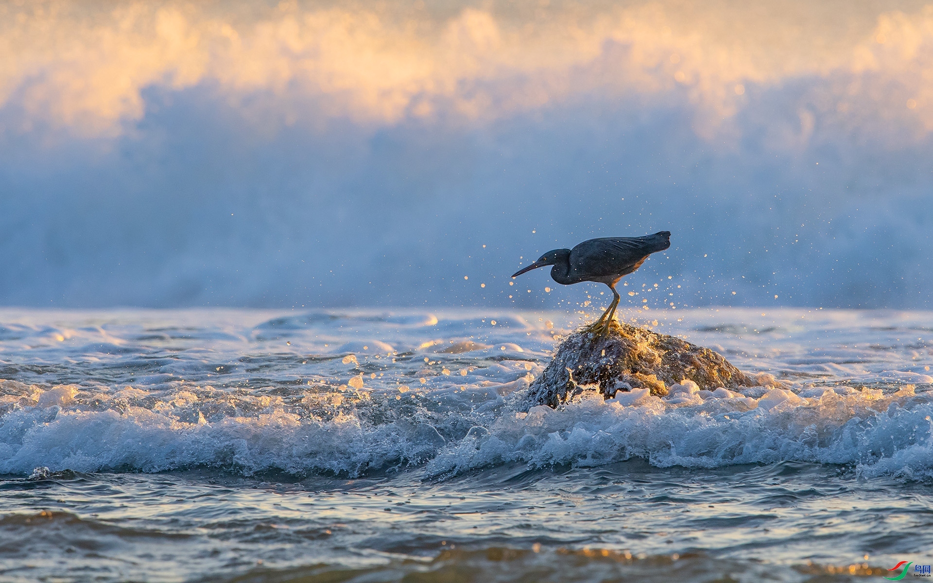 Ҫ��� ���� ��ѧ�� ��һ.jpg