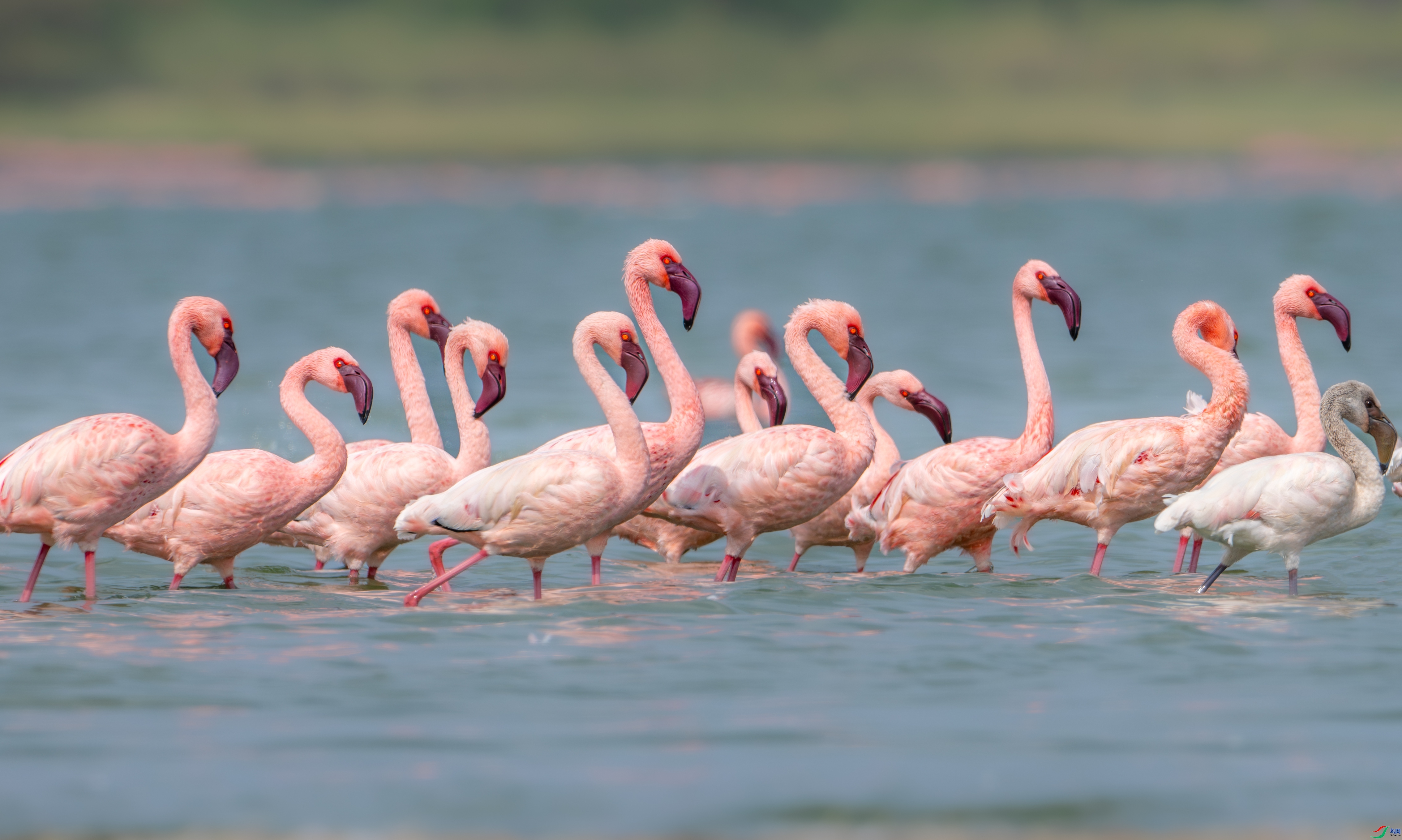 �ж�ǰ�� ���� ��Ͽ֮�� �ܶ�.jpg