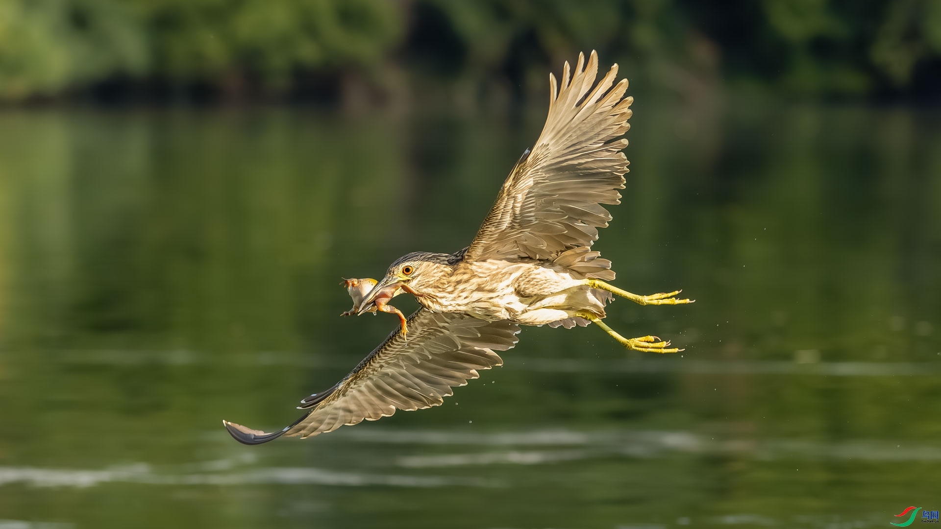 �Ͻ��� ���� ɳ���Խ� �ܶ�.jpg