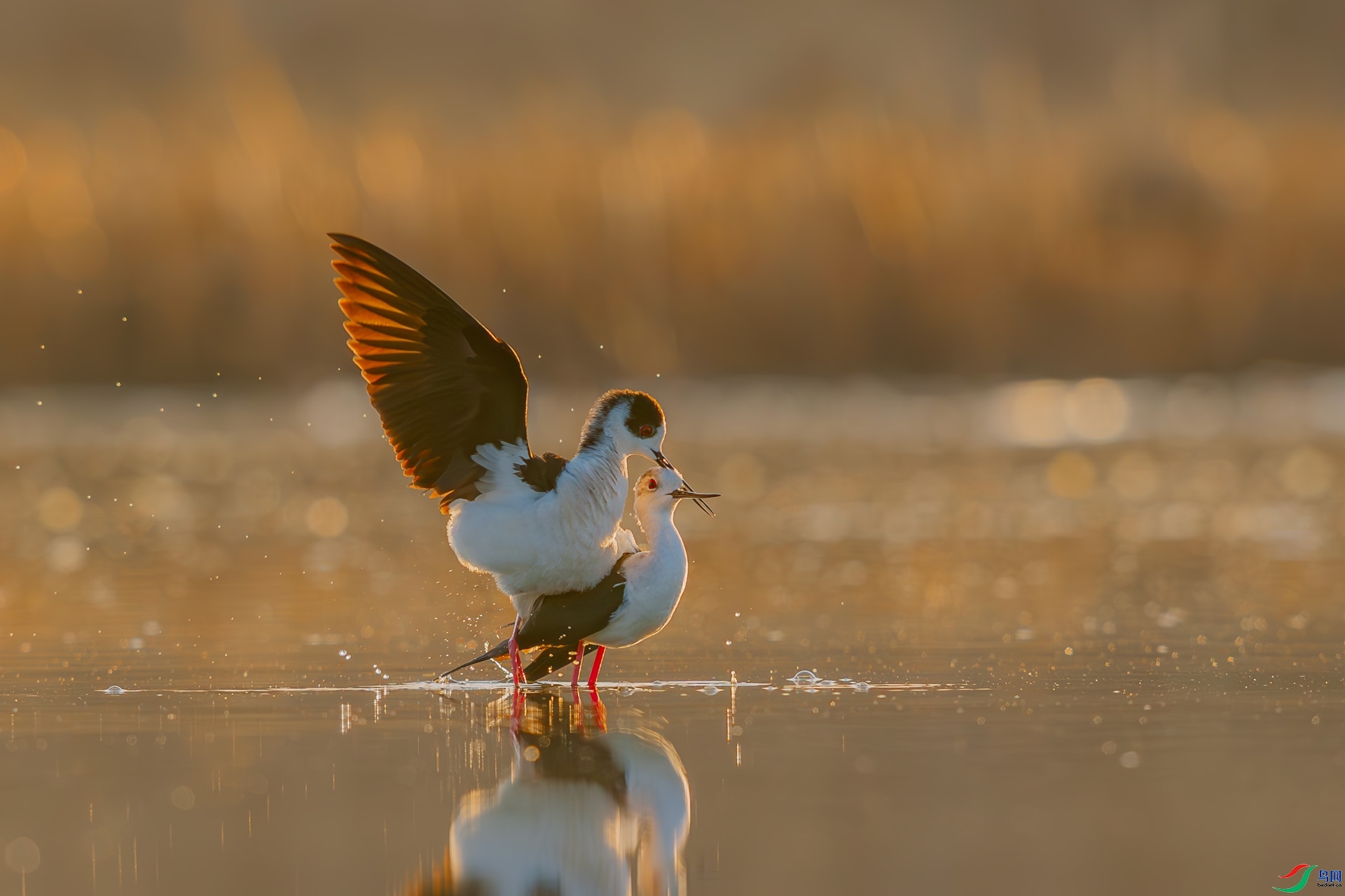 ���ڴ�����  ���� ����.jpg