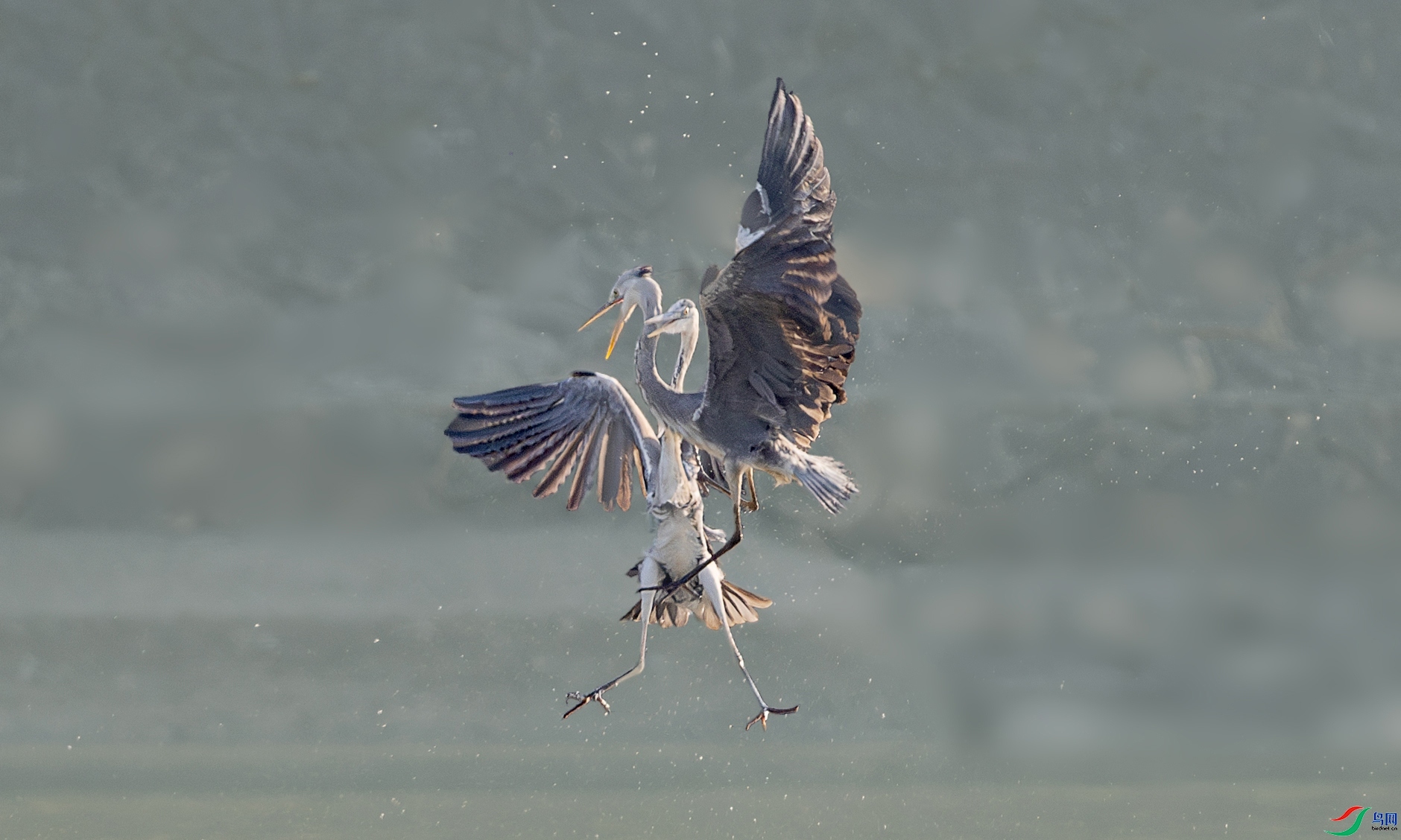 ���� ���� ����.jpg