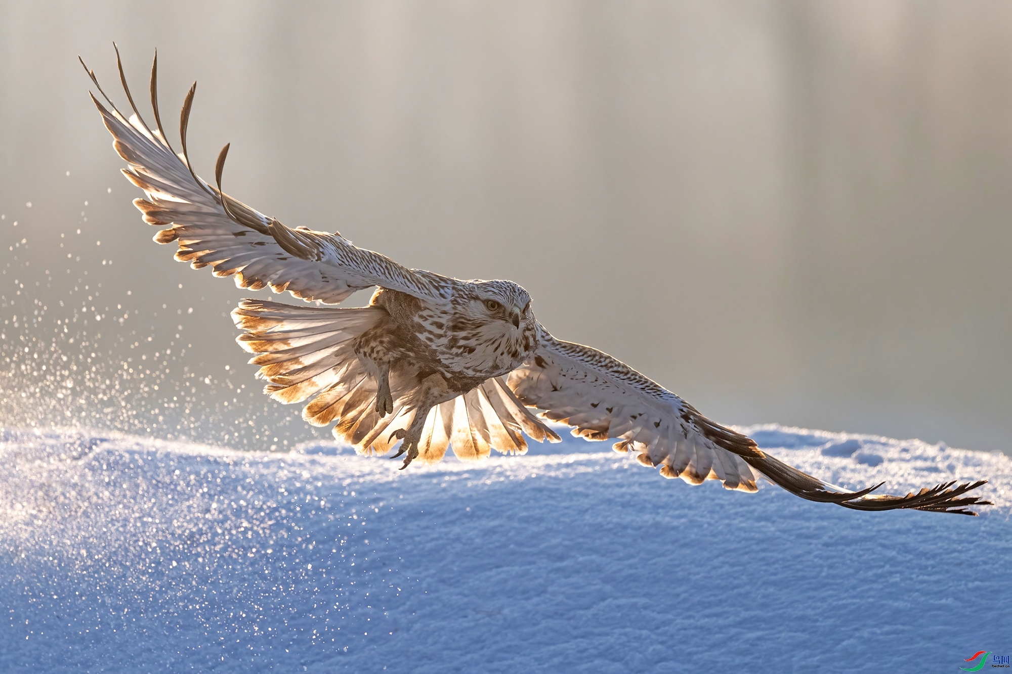 ��� ���� 0451x  ����.jpg