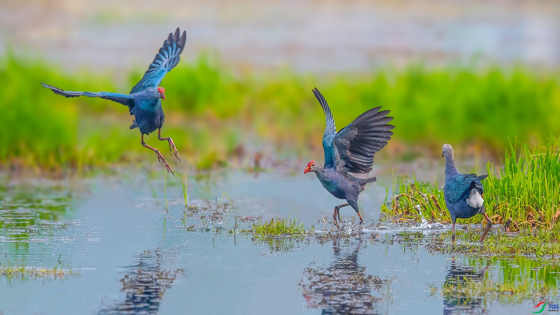 ��ˮ��  ���� ��ѧ�� ����.jpg