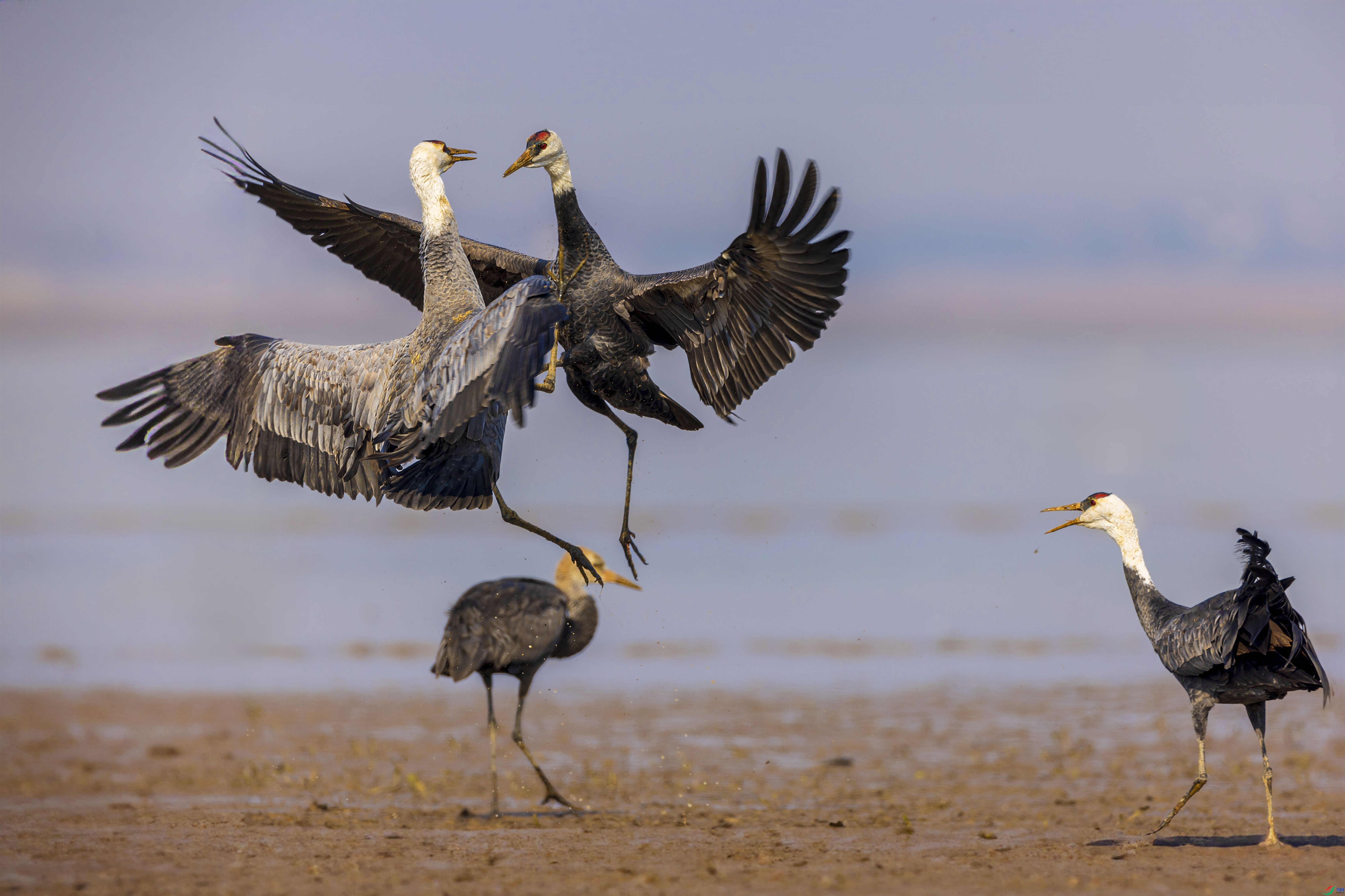 ��ͷ�� ���� ������ ����.jpeg