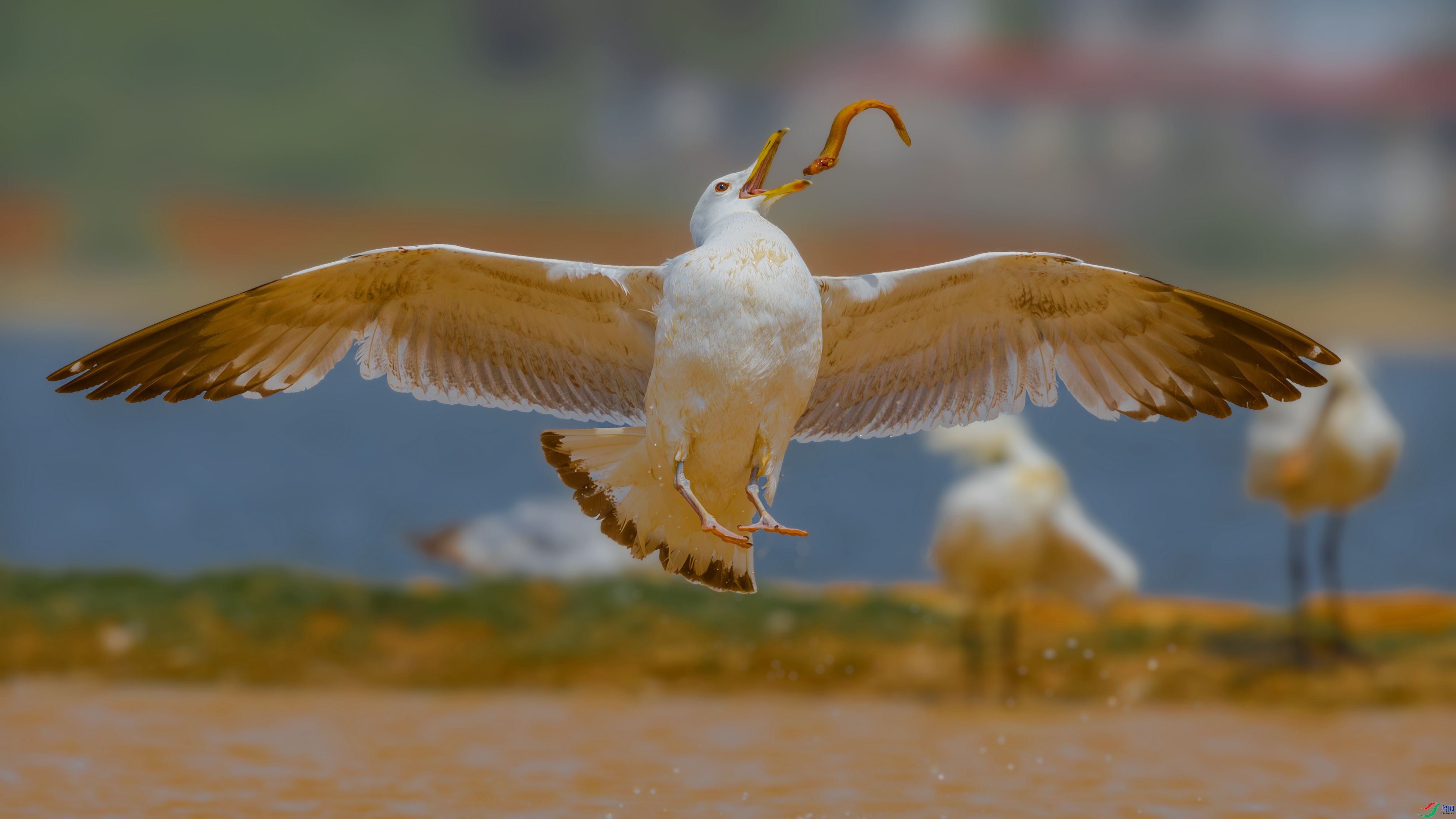 ������ʳ ���� �䱾���� ����.jpg