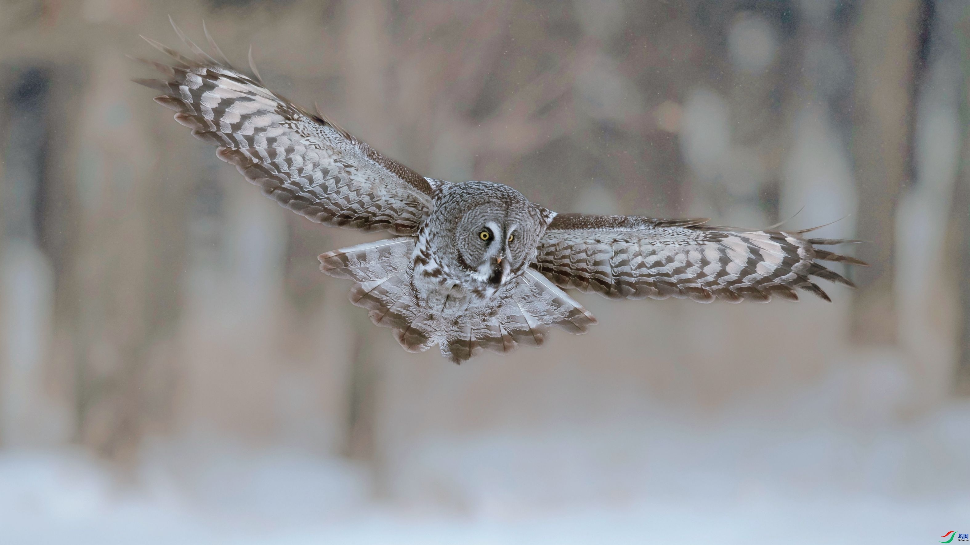 �Ҵ�ɽ���� ���� �����ү ����.jpg