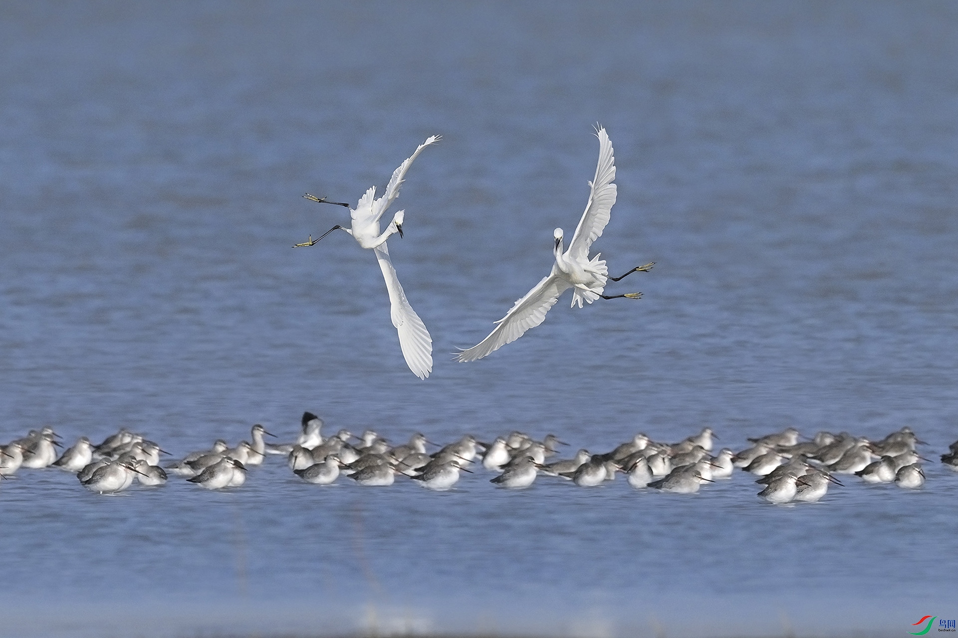 _DSC1616 ����00 ����.jpg