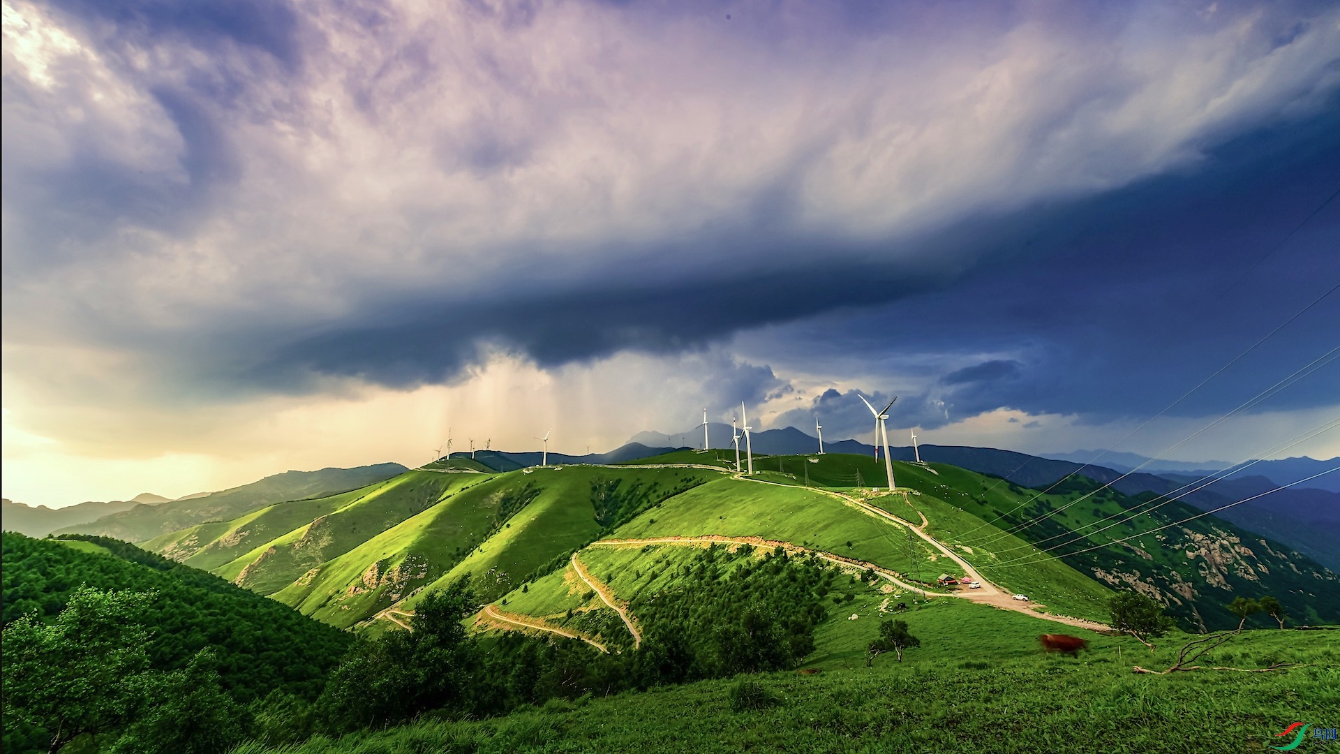 1XXL_2235 ���� 2.jpeg