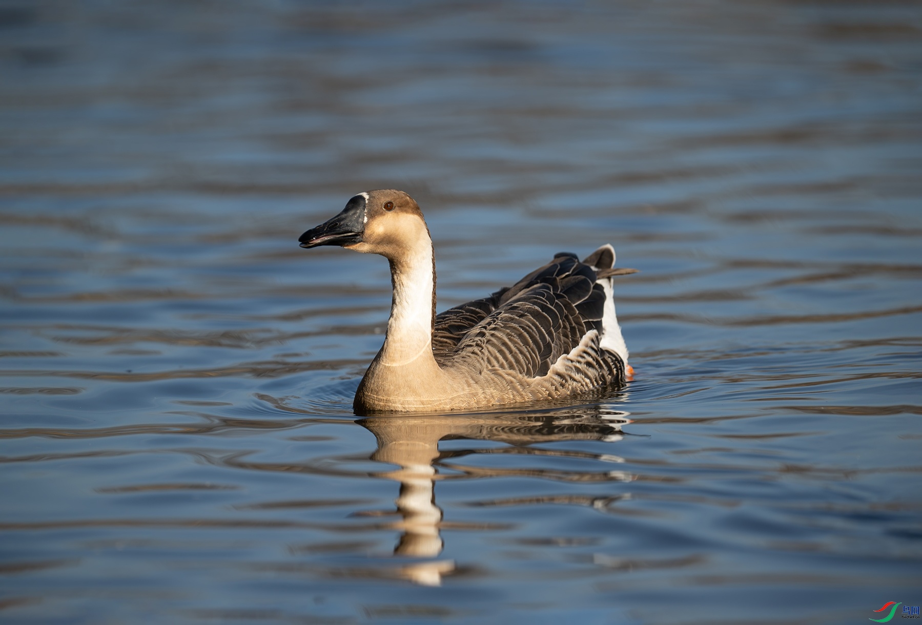 DSC_4557f.jpg
