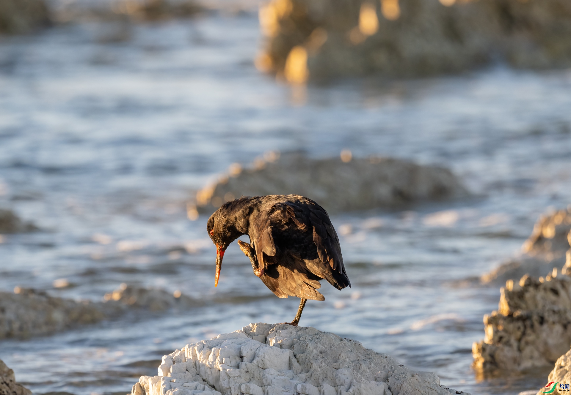 DSC_5888-1.jpg