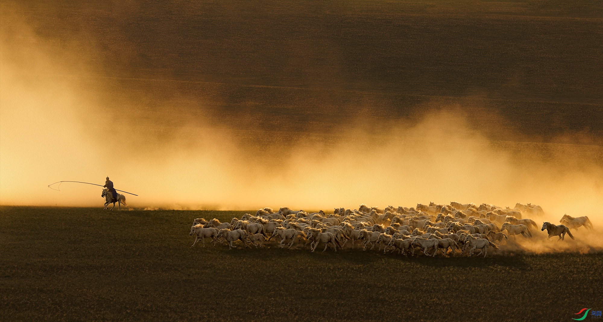 3Z6A1977 ����_1.jpg