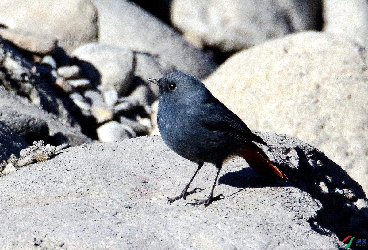 A0812��βˮ�-25.JPG