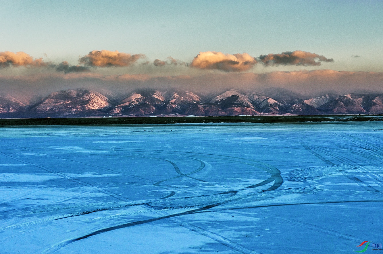 DSC_2446.jpg