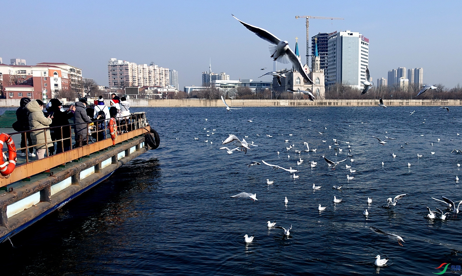 DSC08053.JPG
