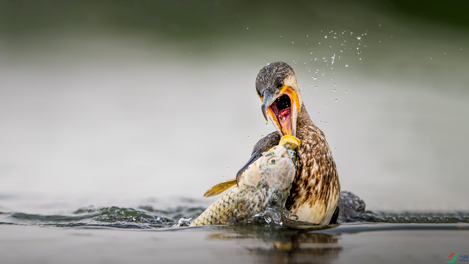 1_XXL5208-����ǿ-NR ����.jpeg