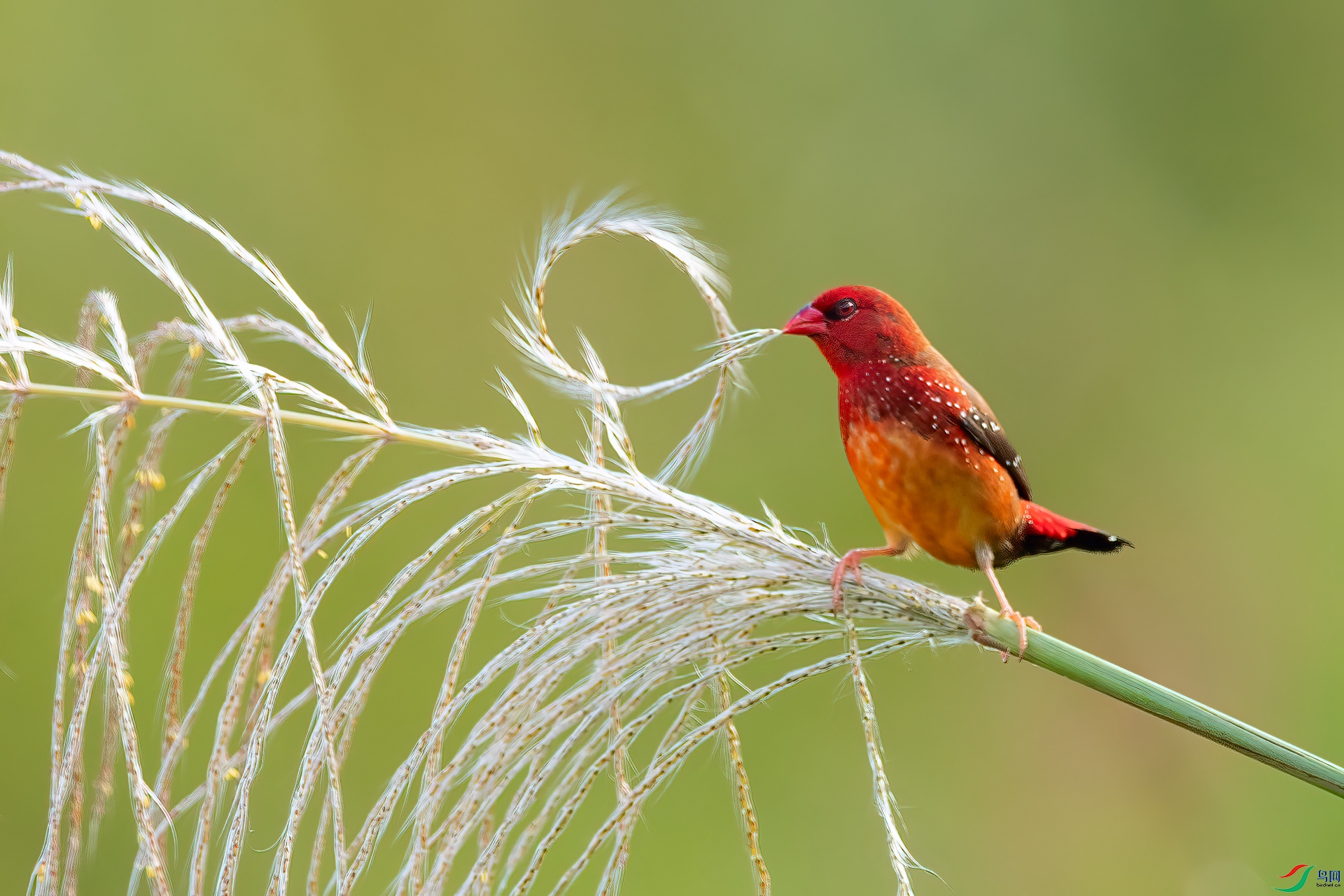 B86I1834 _����.jpg