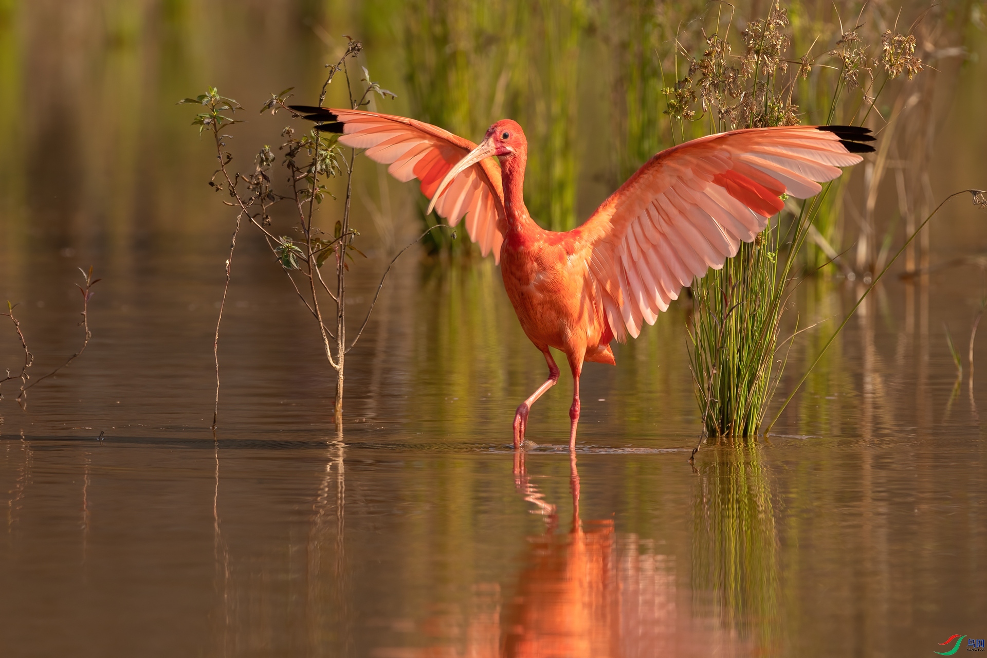 B86I6206 _����.jpg