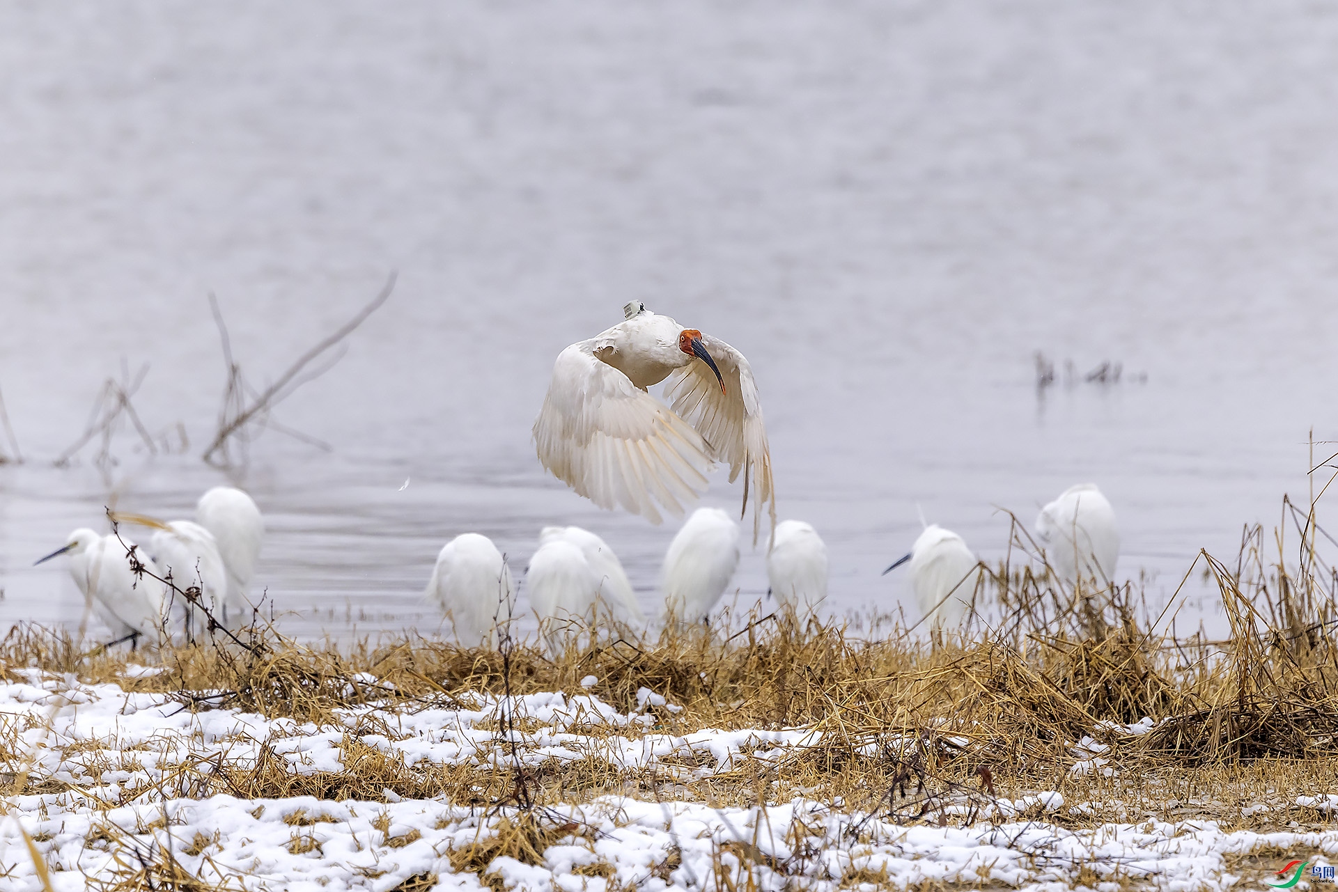 �ƾ�����