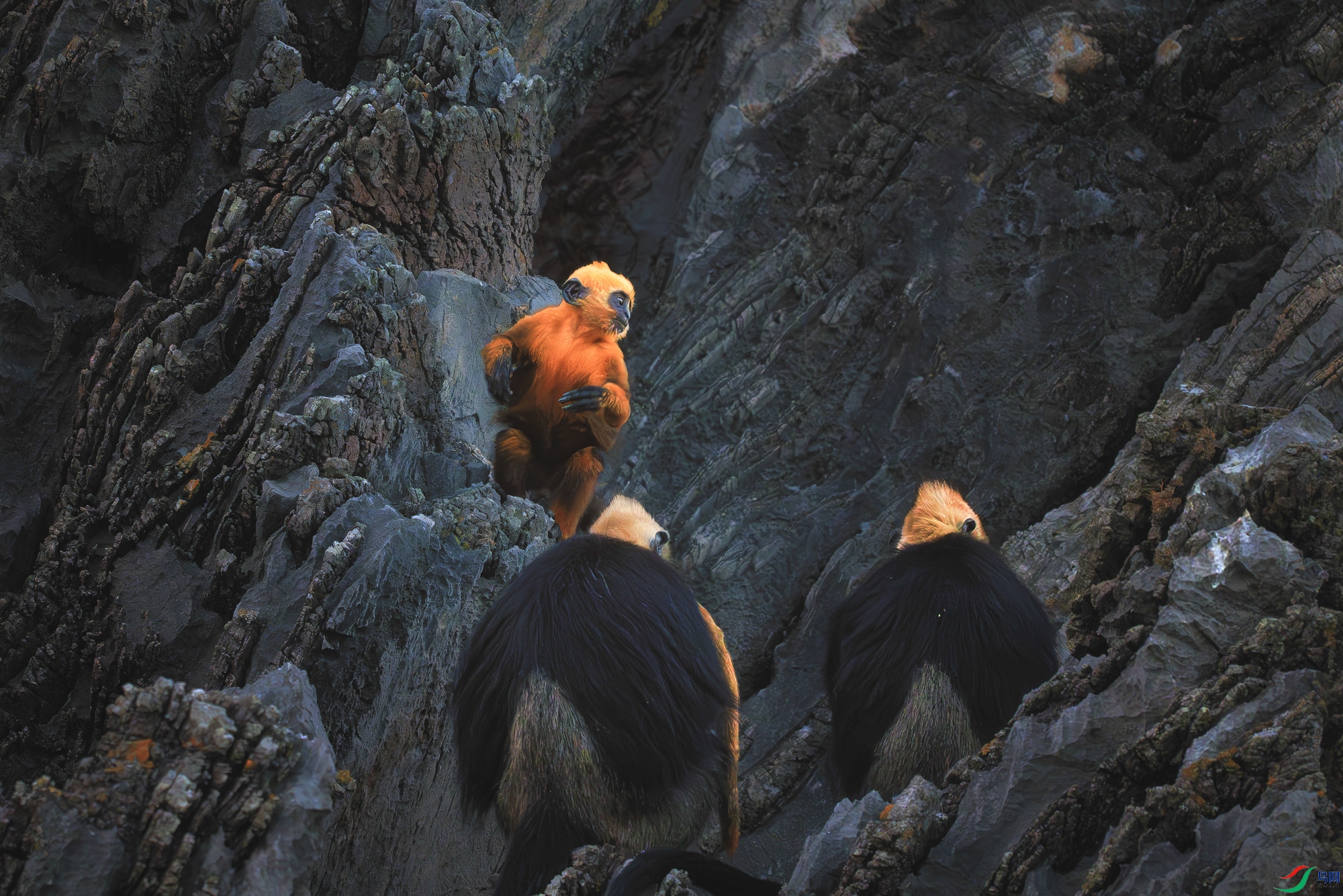 DSC_6422-����ǿ-NR ����_3.jpg