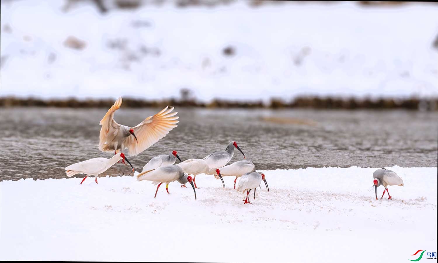 DSC_6478 ����.jpg