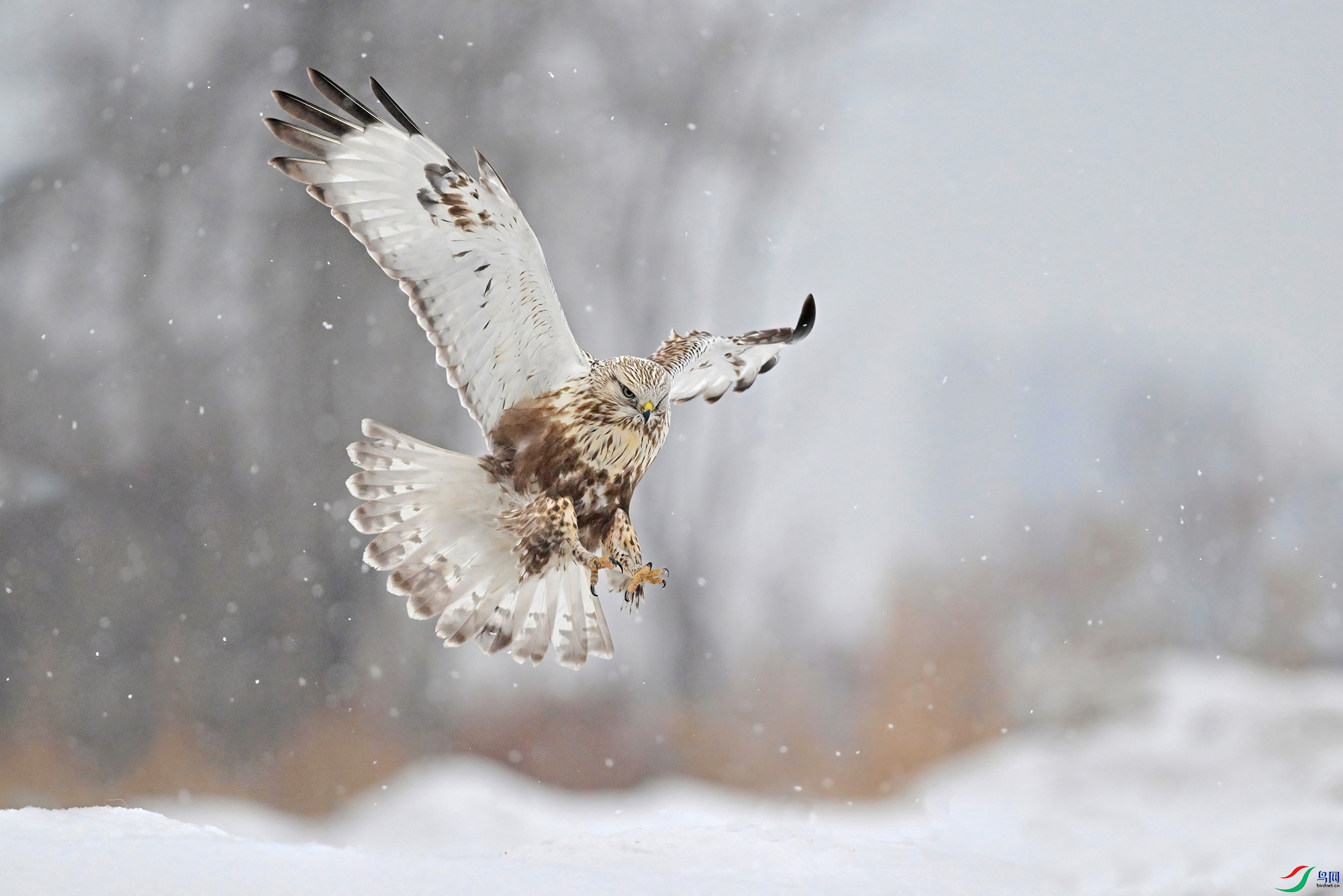 DSC_5679-V.jpg