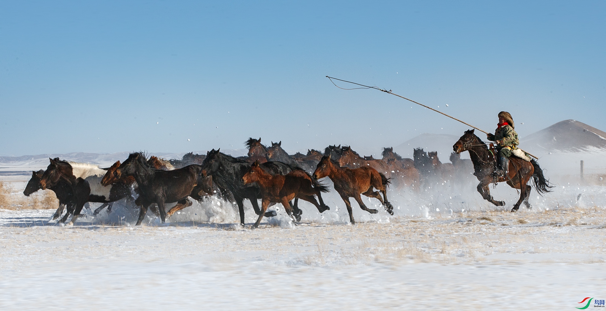 A68O8667 ����_1.jpg