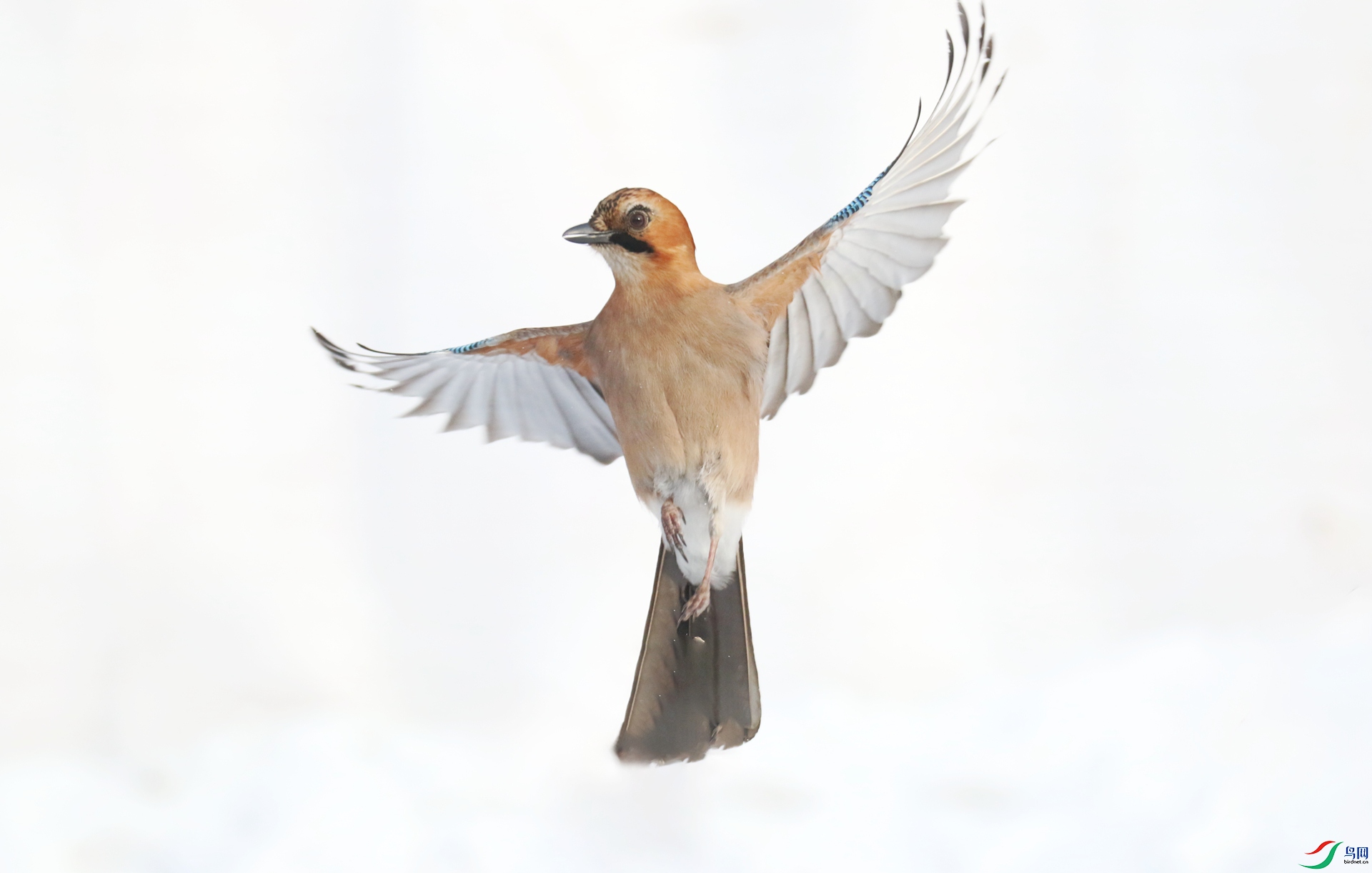 0G1A4312 ����.jpg