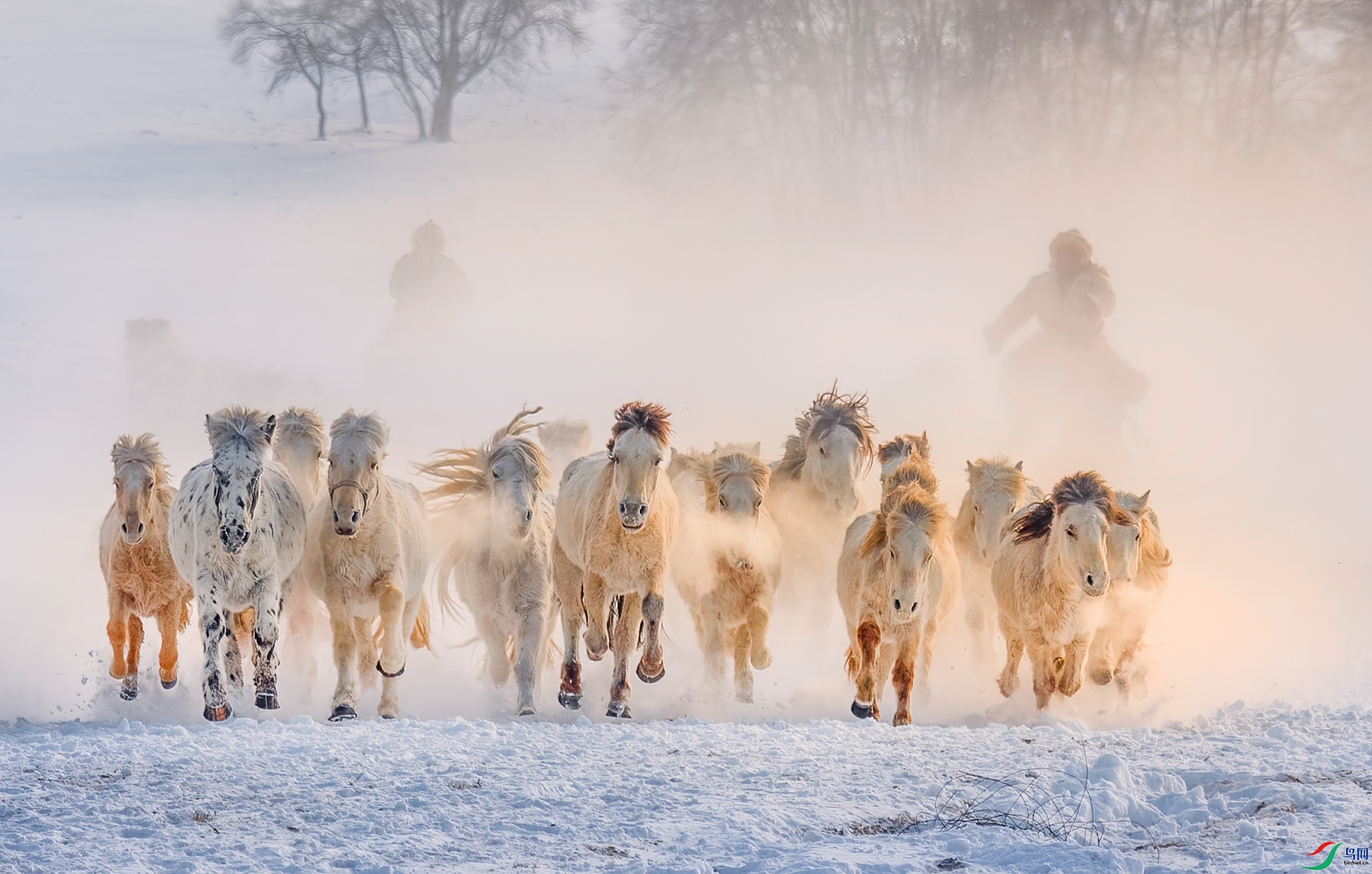 DSC_8260 - �´����֣�.jpg