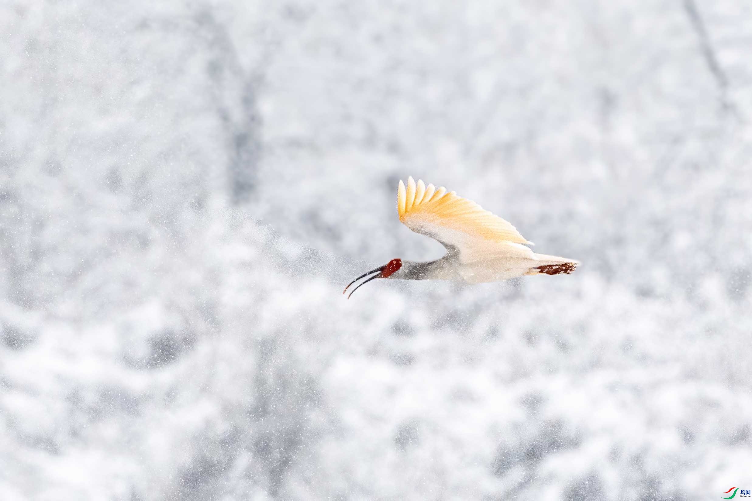 DSC_5192 ����.jpg