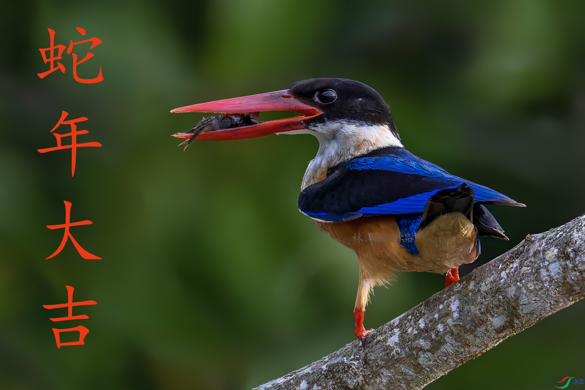 _97A7871-CR3 copy 2.jpg