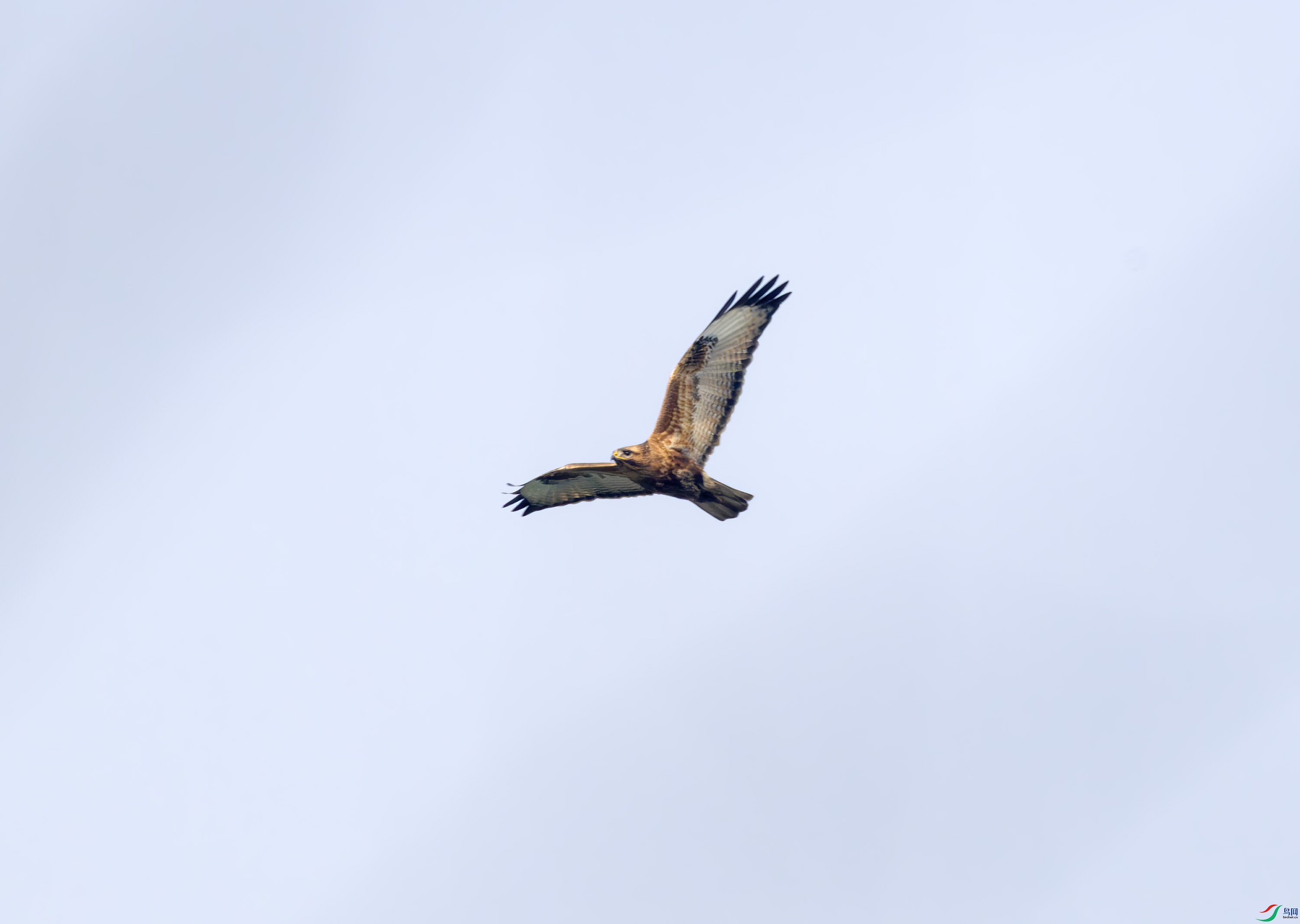 2I1A9795-����ǿ-NR-1 ���� 2.jpg