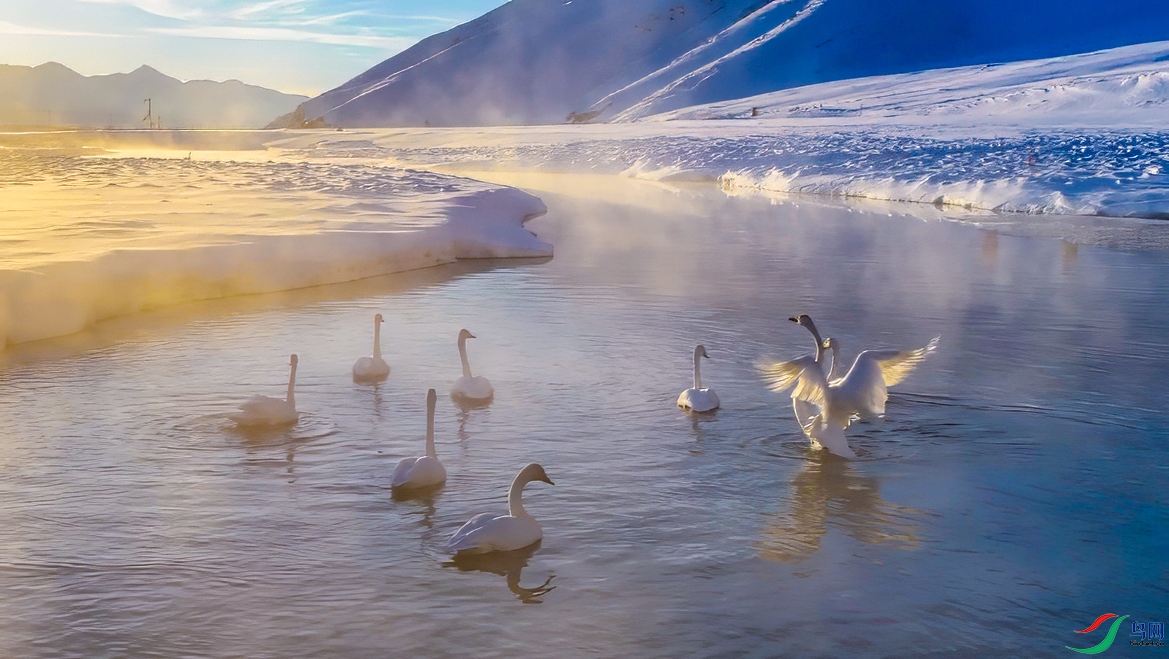 ΢��ͼƬ_20250129142106 ����.jpg