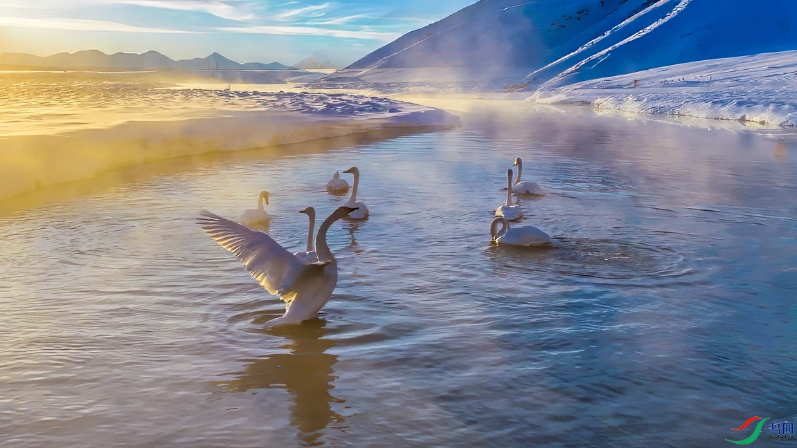 ΢��ͼƬ_20250129142204 ����.jpg