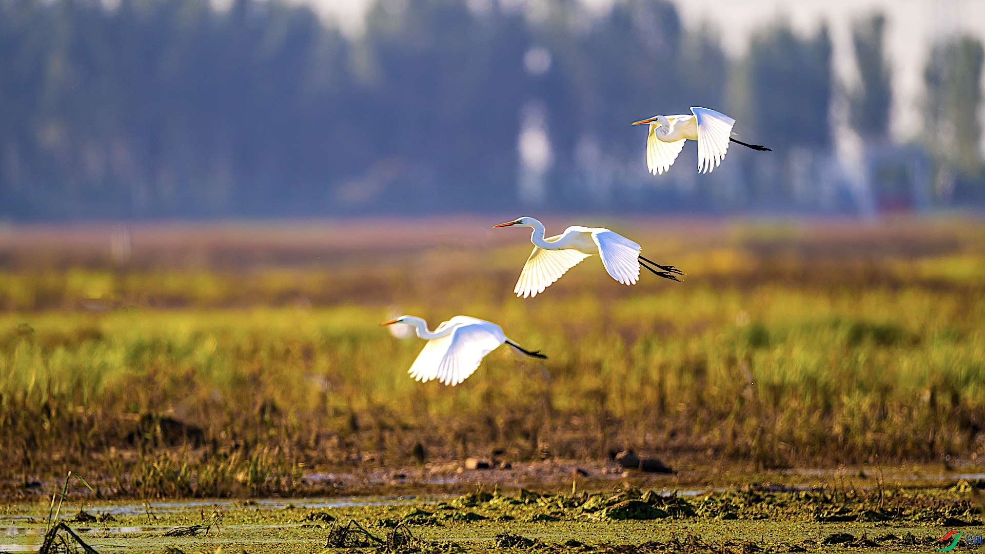 1�ĸ���16 ����.jpeg