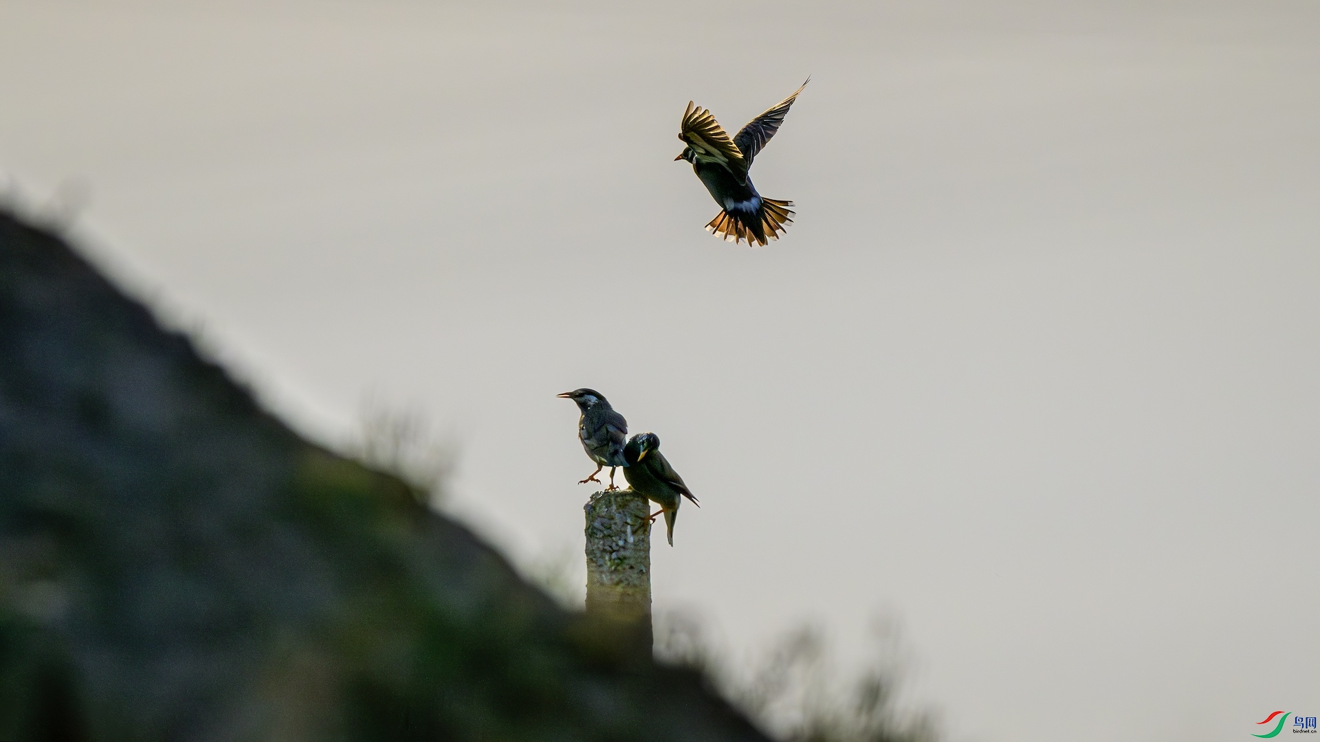 2_DSC0039-����ǿ-NR ����.jpeg