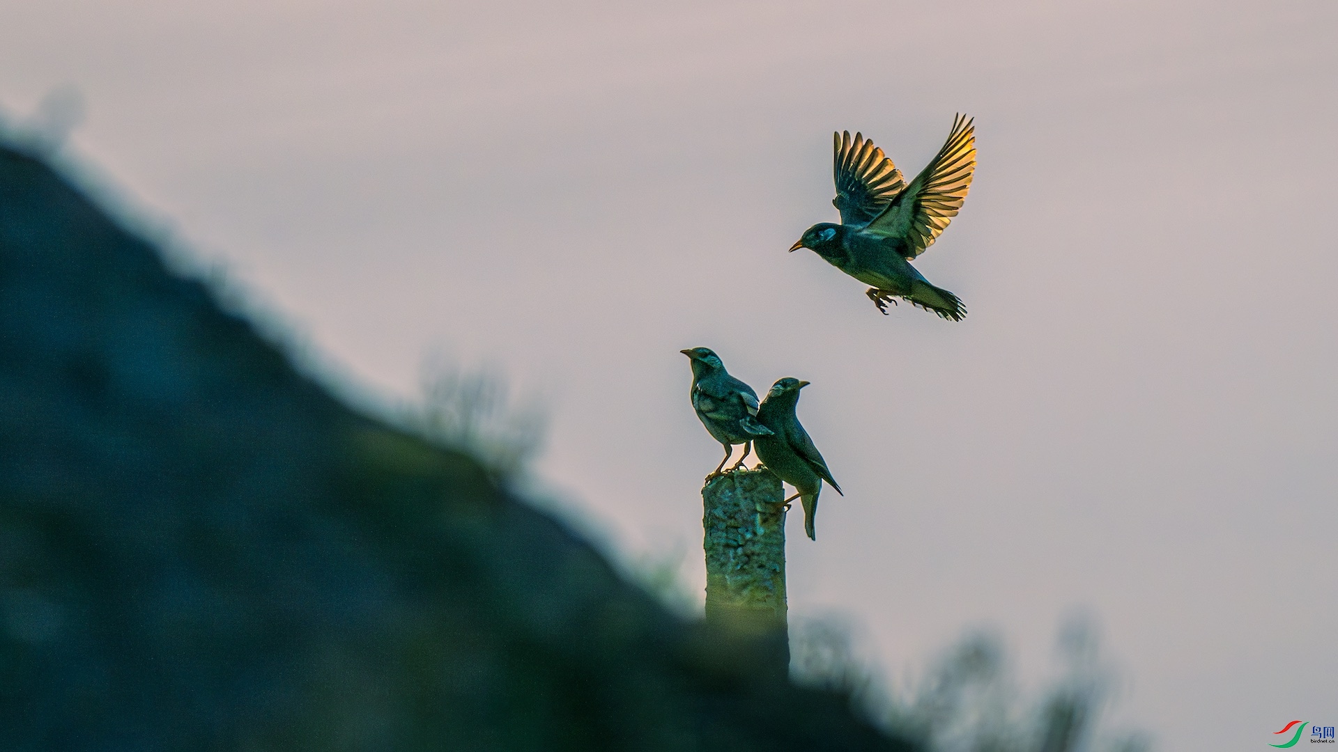 2_DSC0063-����ǿ-NR ����.jpeg