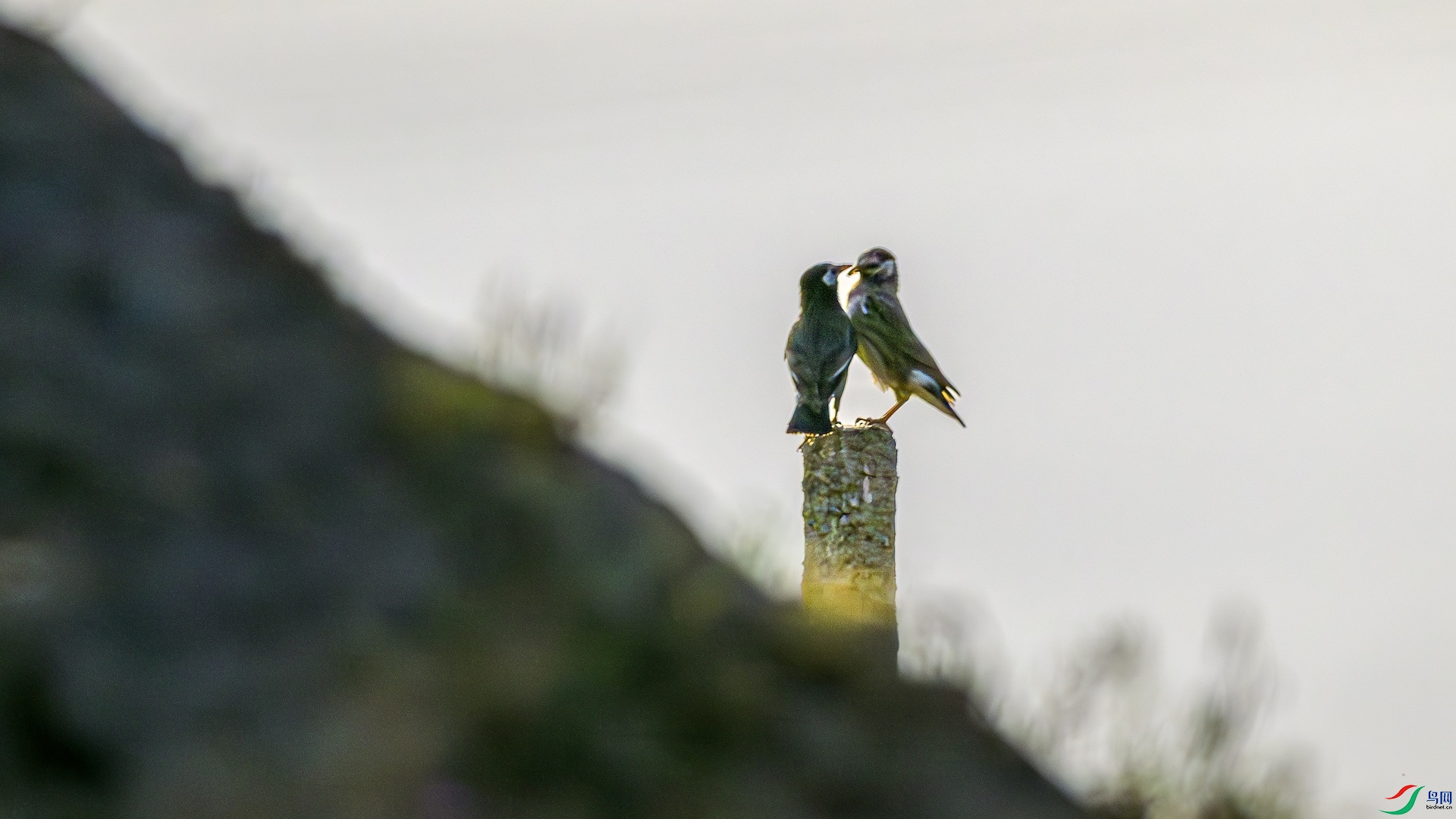 2_DSC0132-����ǿ-NR ����.jpeg