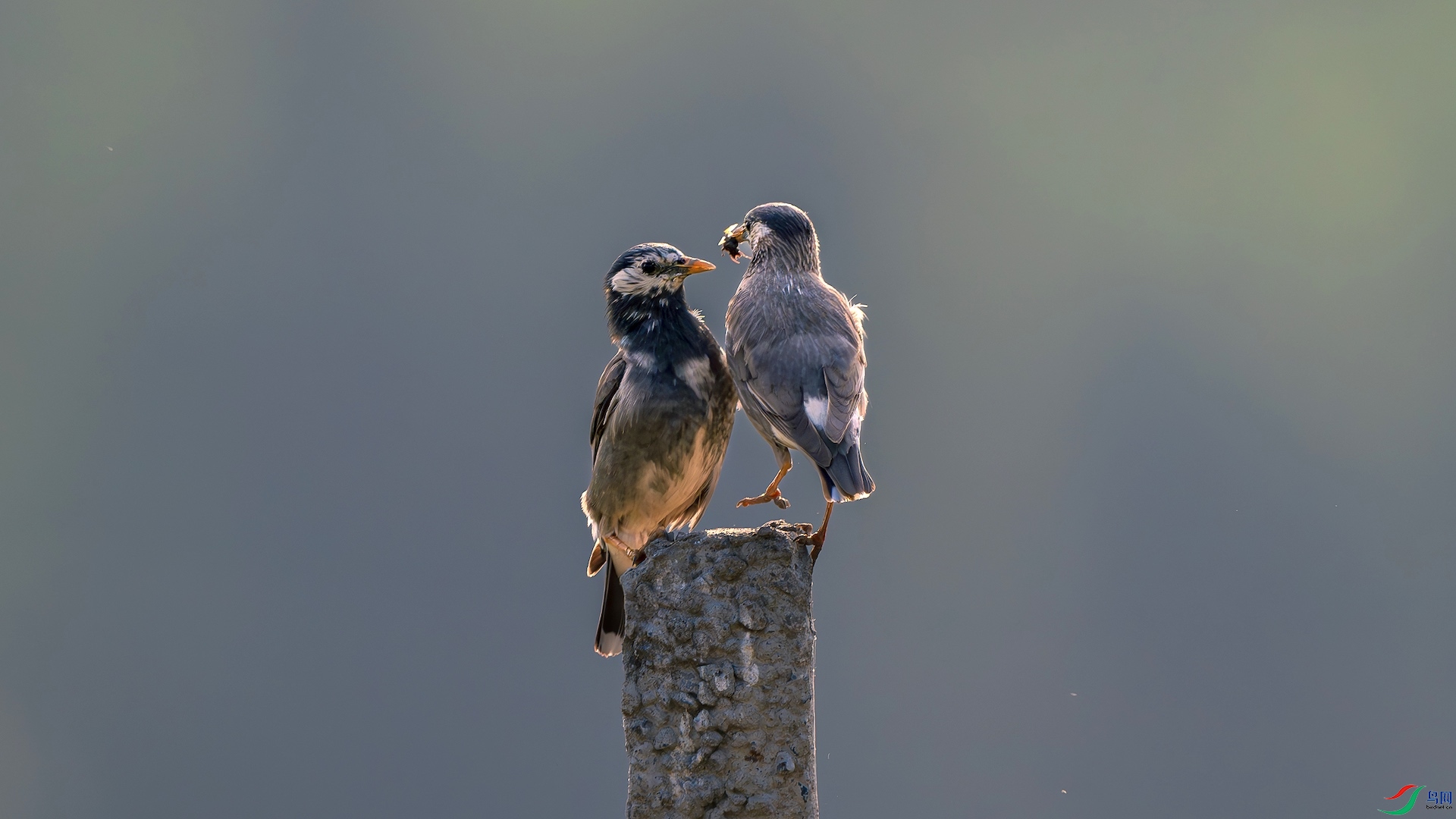 2_DSC0512-����ǿ-NR ����.jpeg