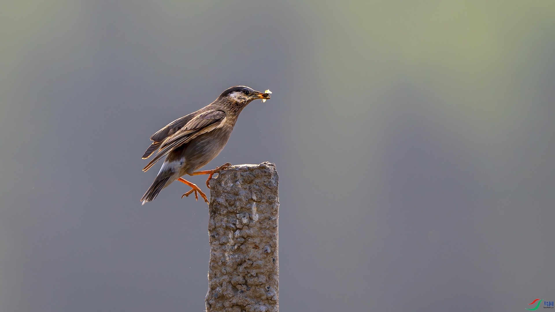 2_DSC0553-����ǿ-NR ����.jpeg