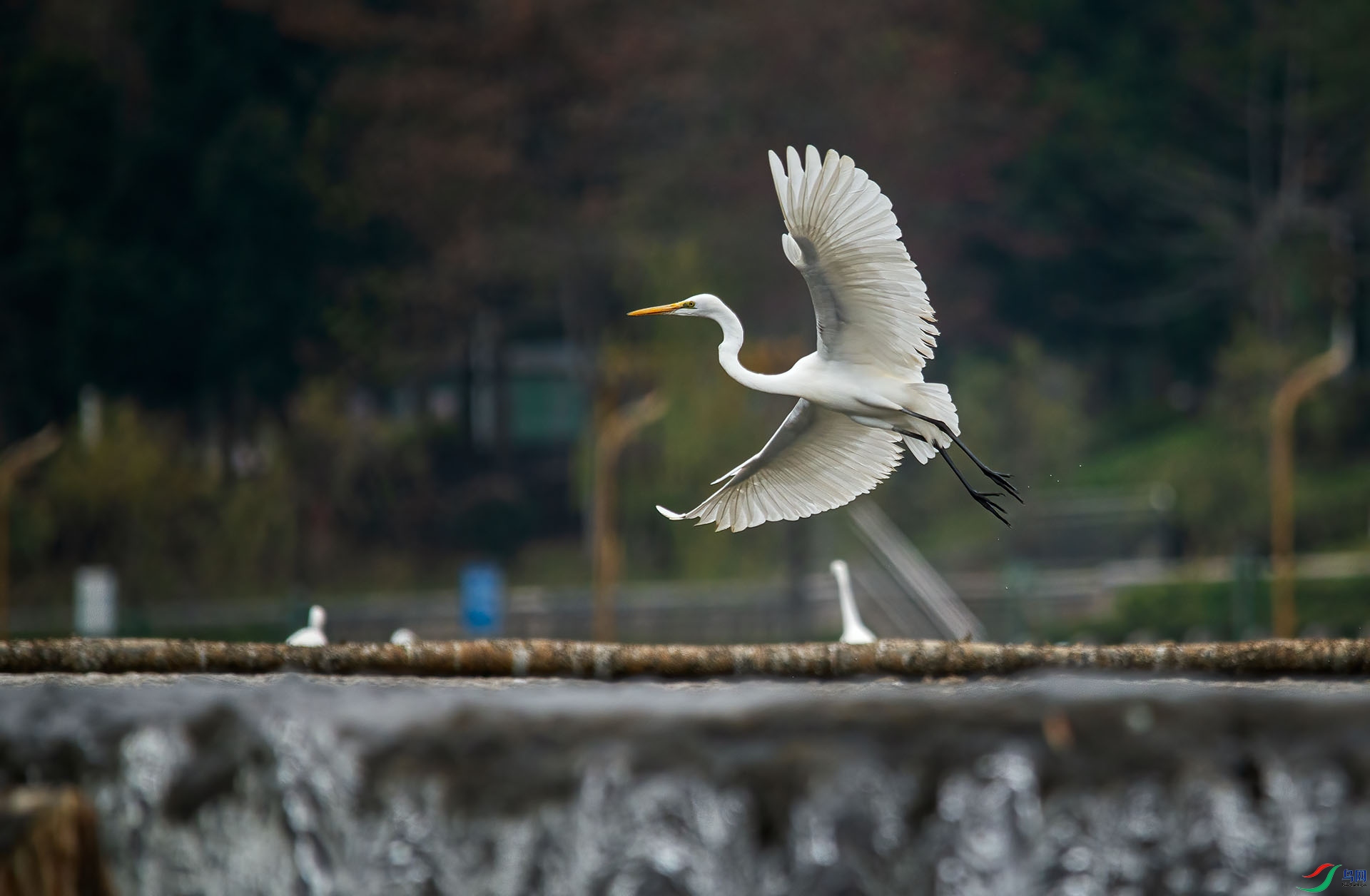 _DSC8487.jpg