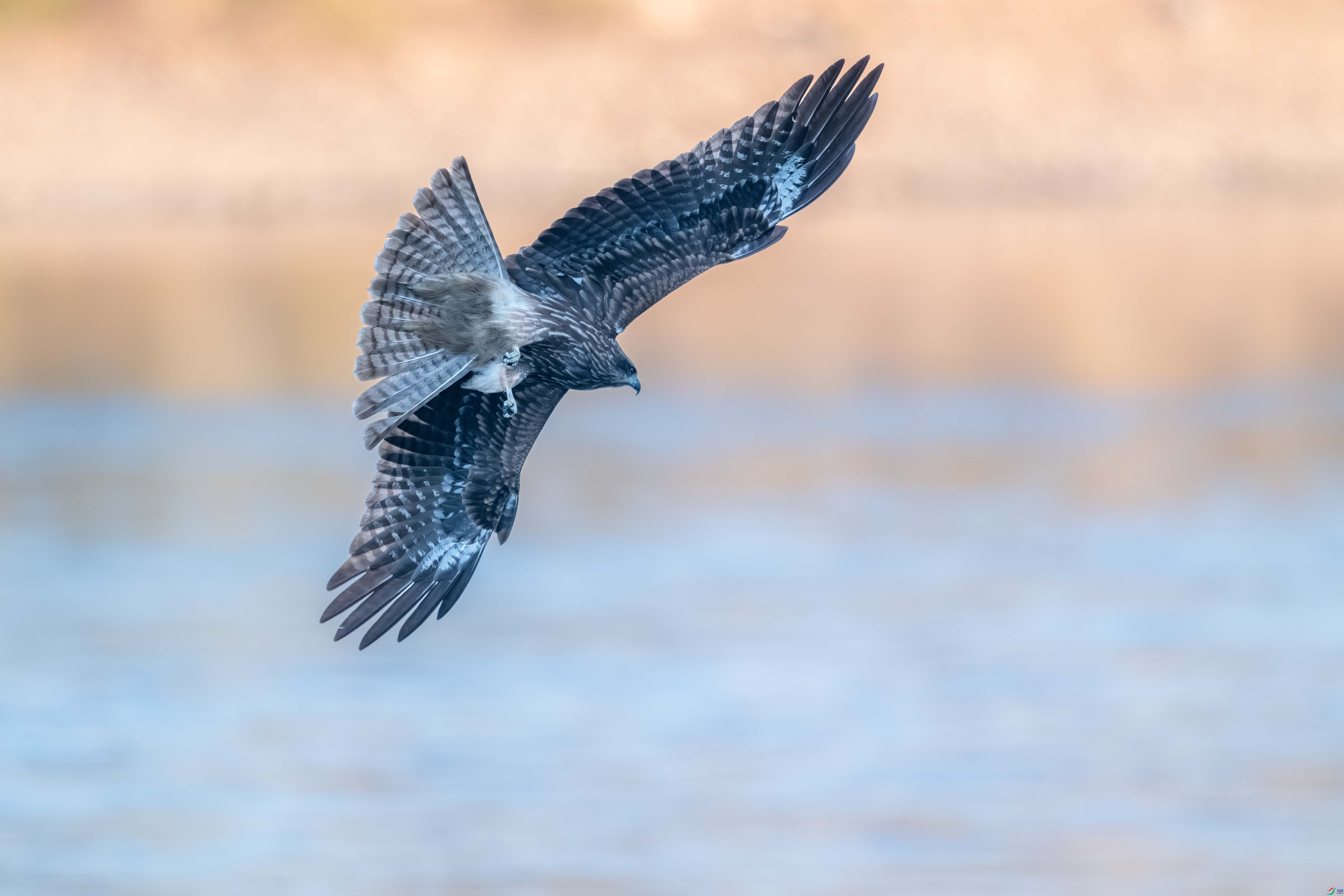 DSC_6884-����ǿ-NR.JPG