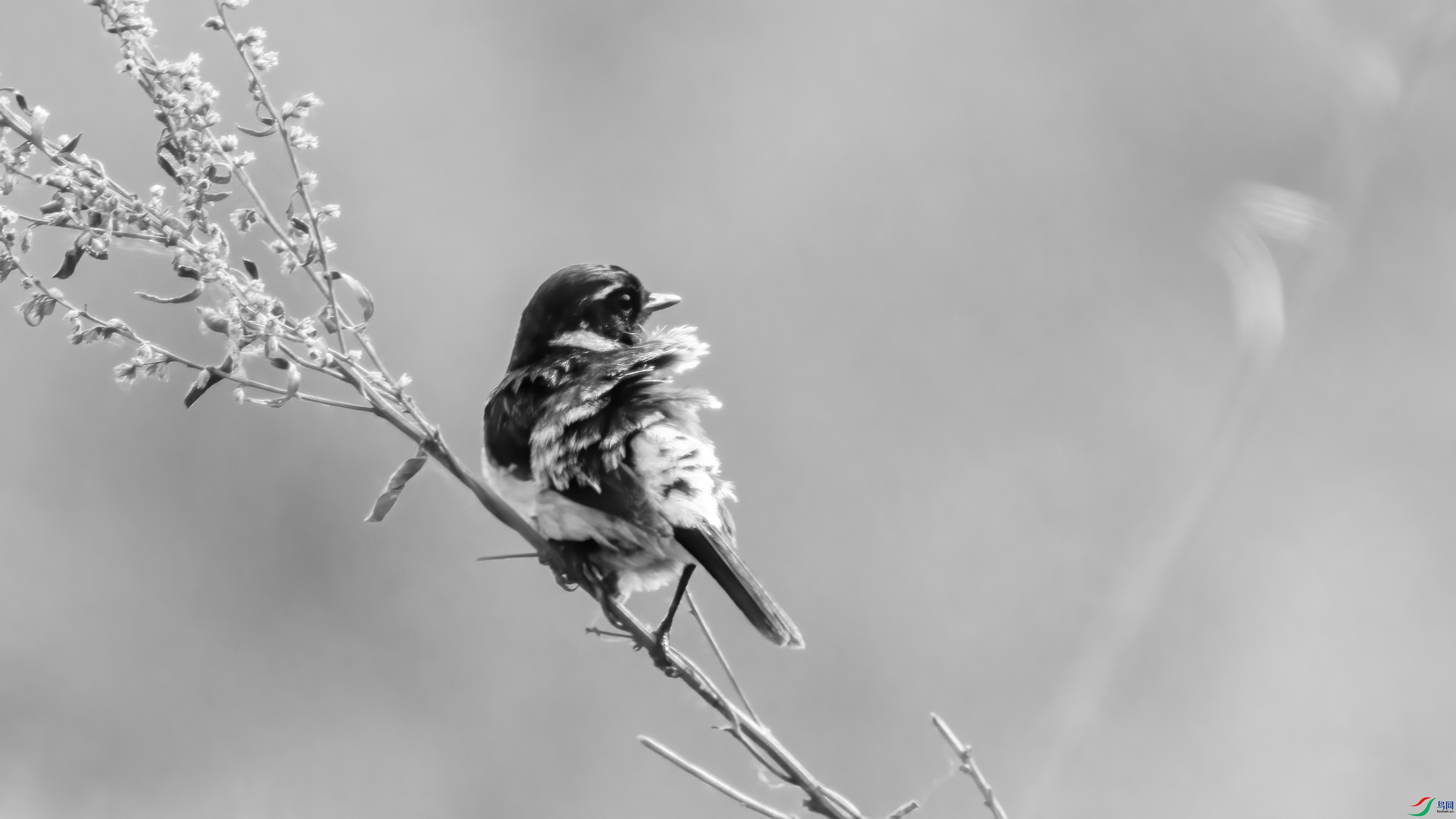 DSC01351 ����.jpg