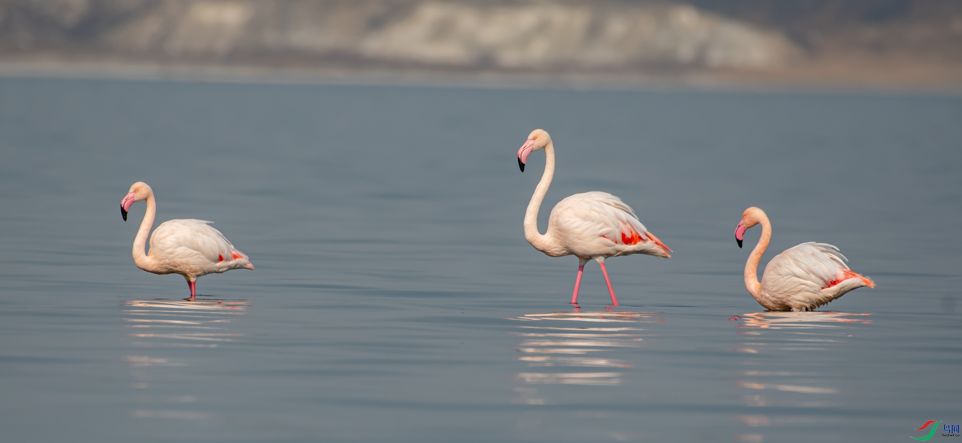 DSC_8168.jpg