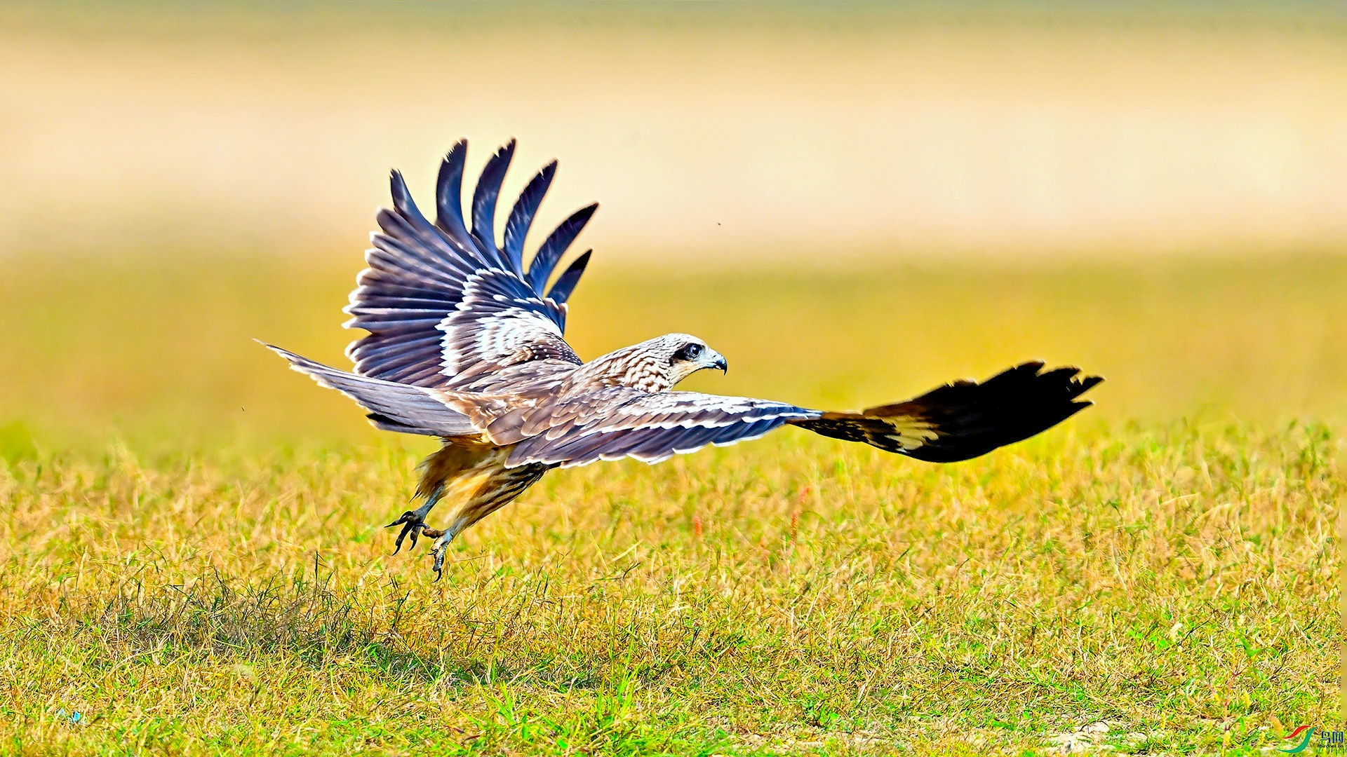 XHH_4373 ����.jpg