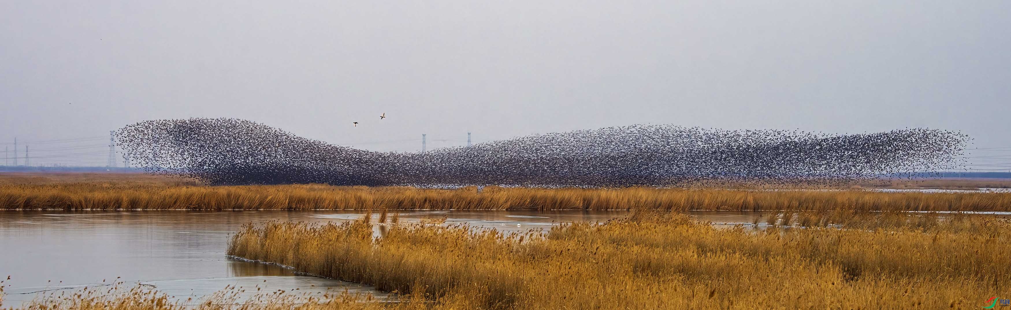 DSC_7240 ����-B.jpg