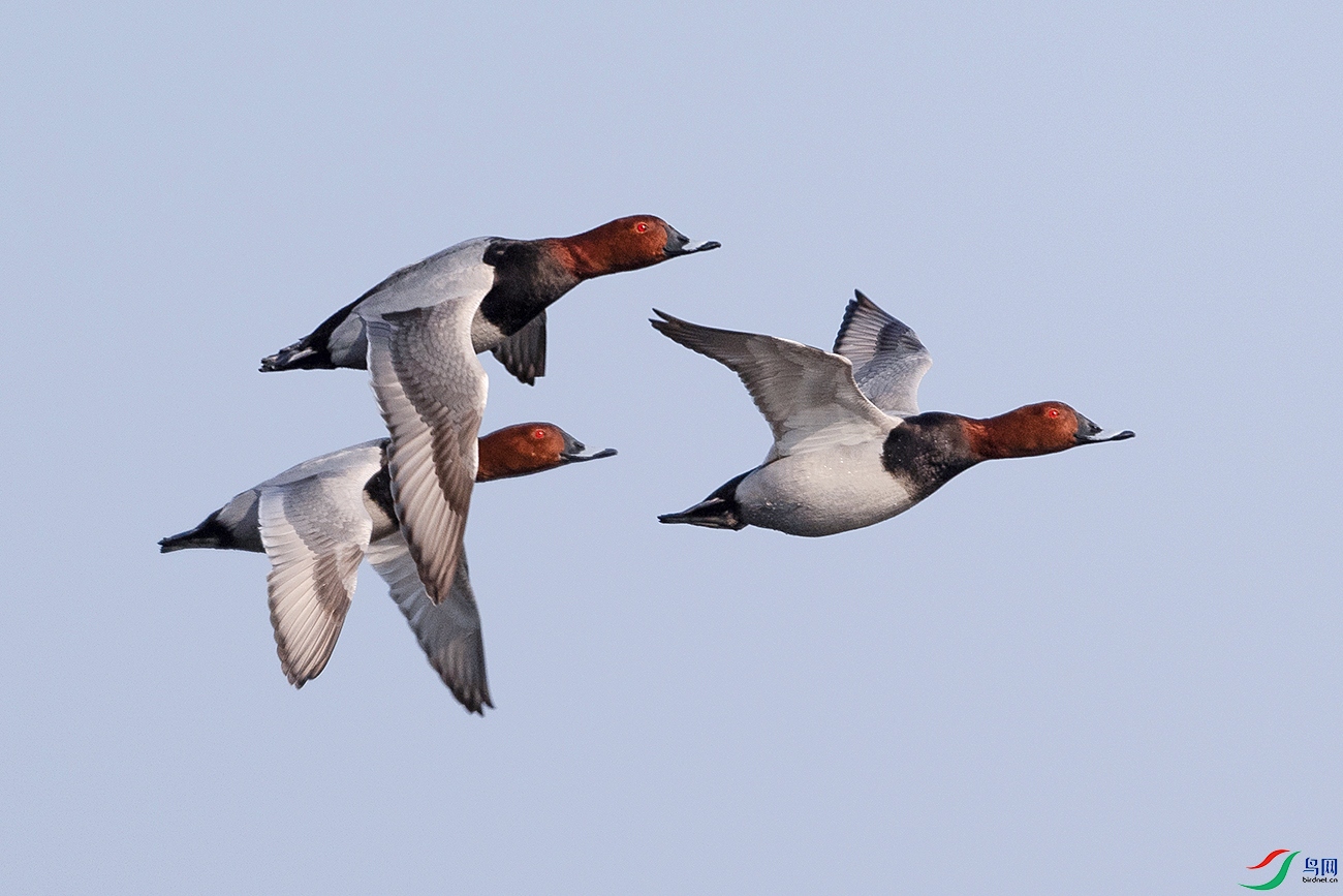 DSC_7167---.jpg