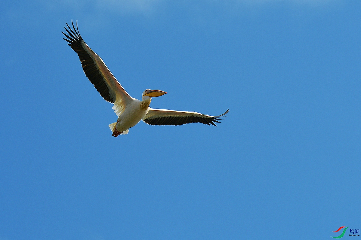 DSC_8089.JPG