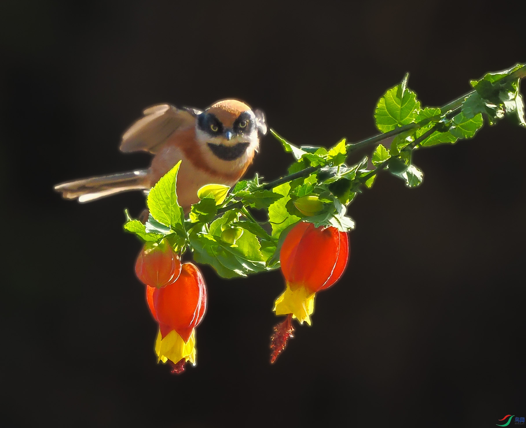 P1290474 ---��ͷ--00.jpg